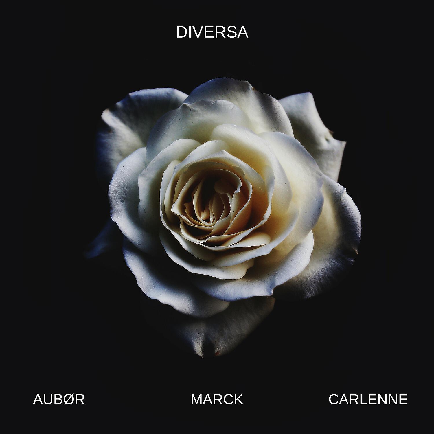 Релиз Diversa