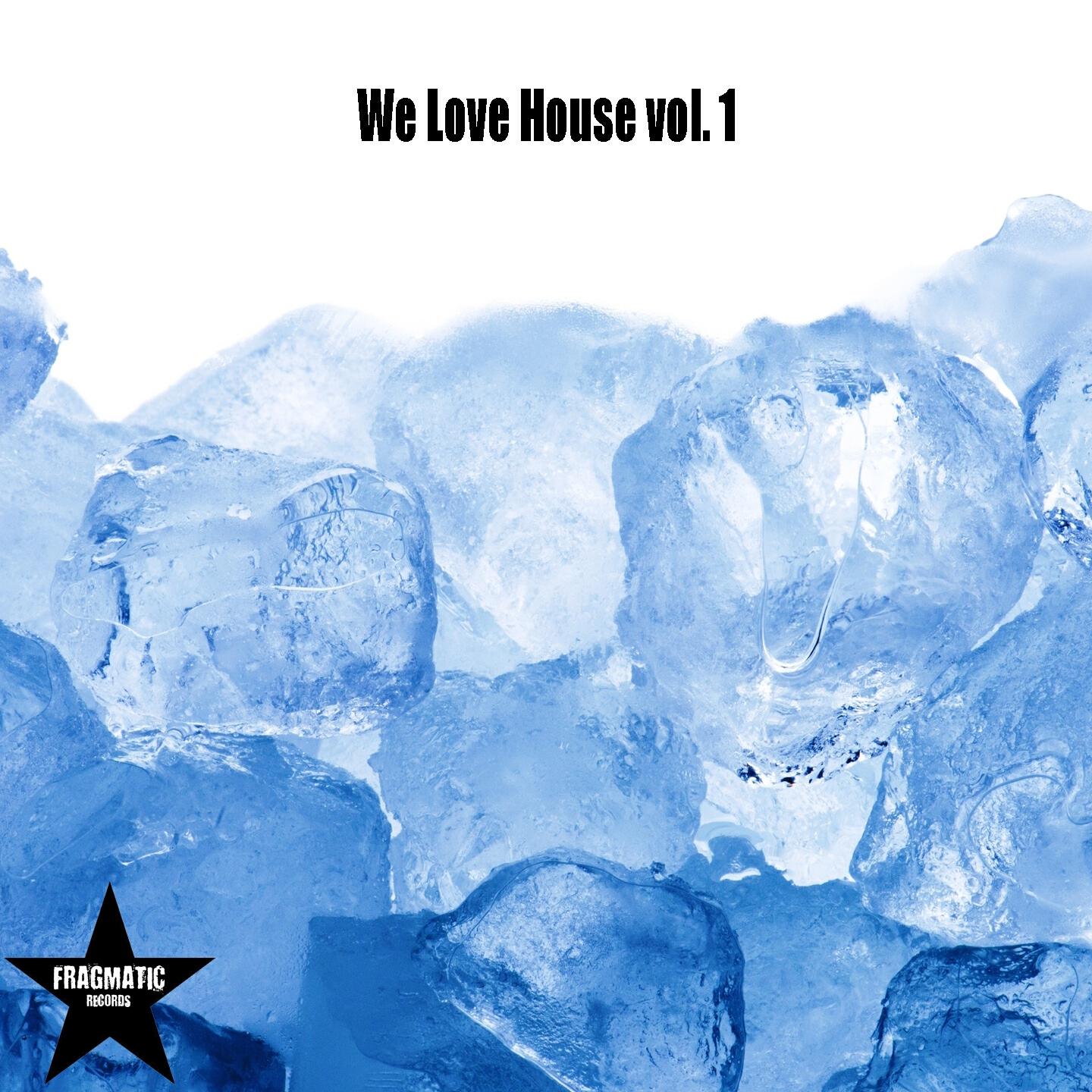 Релиз We Love House, Vol. 1