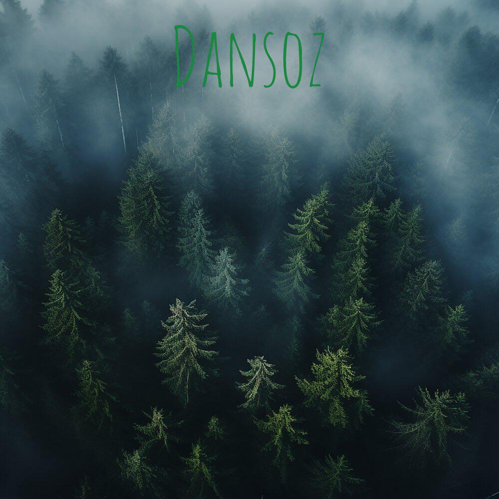 Релиз Dansoz