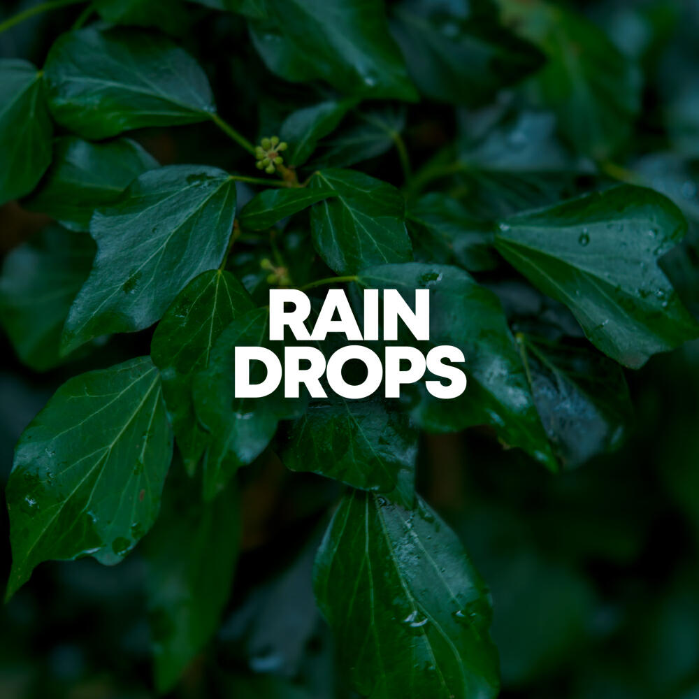 Постер альбома Rain Drops
