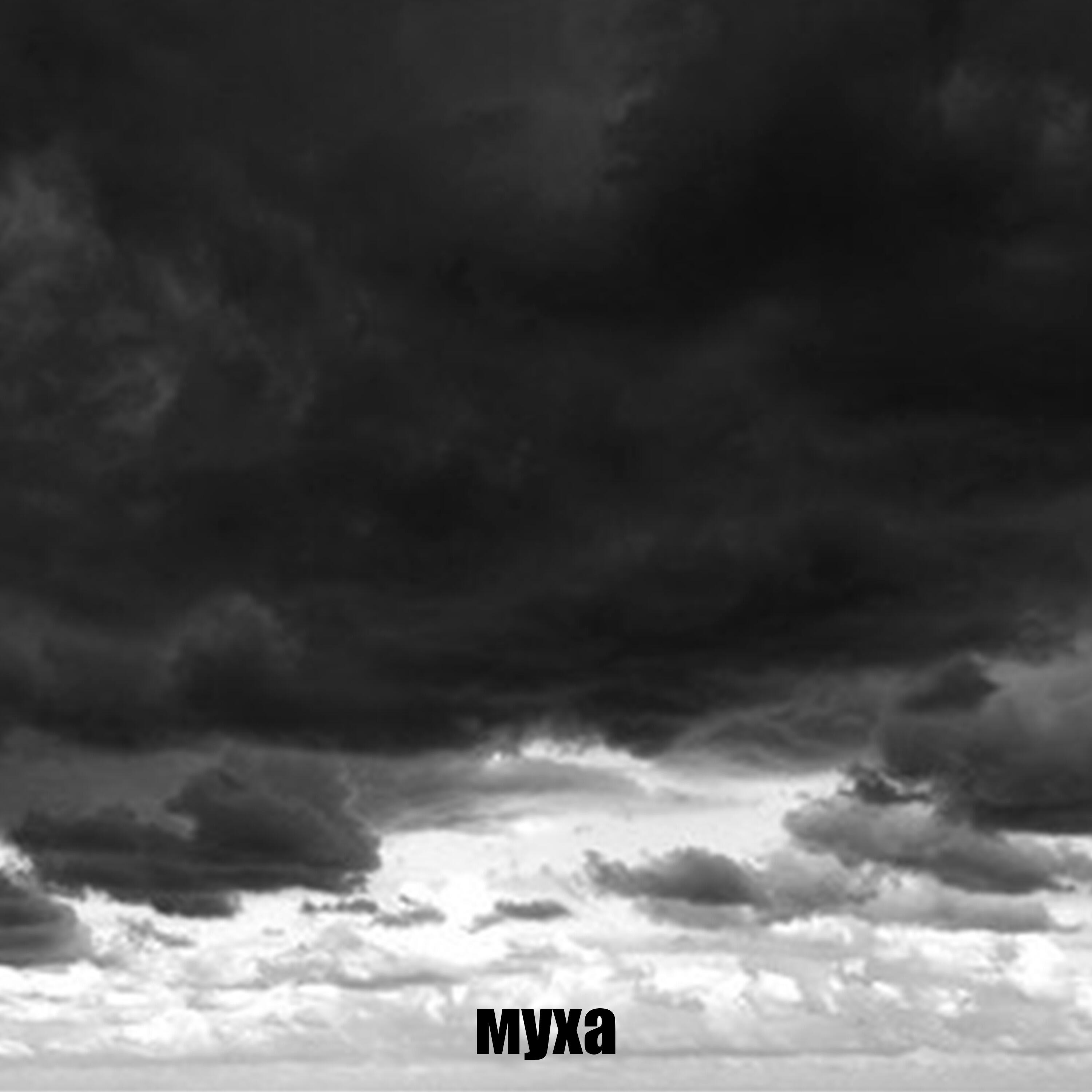 Релиз Муха