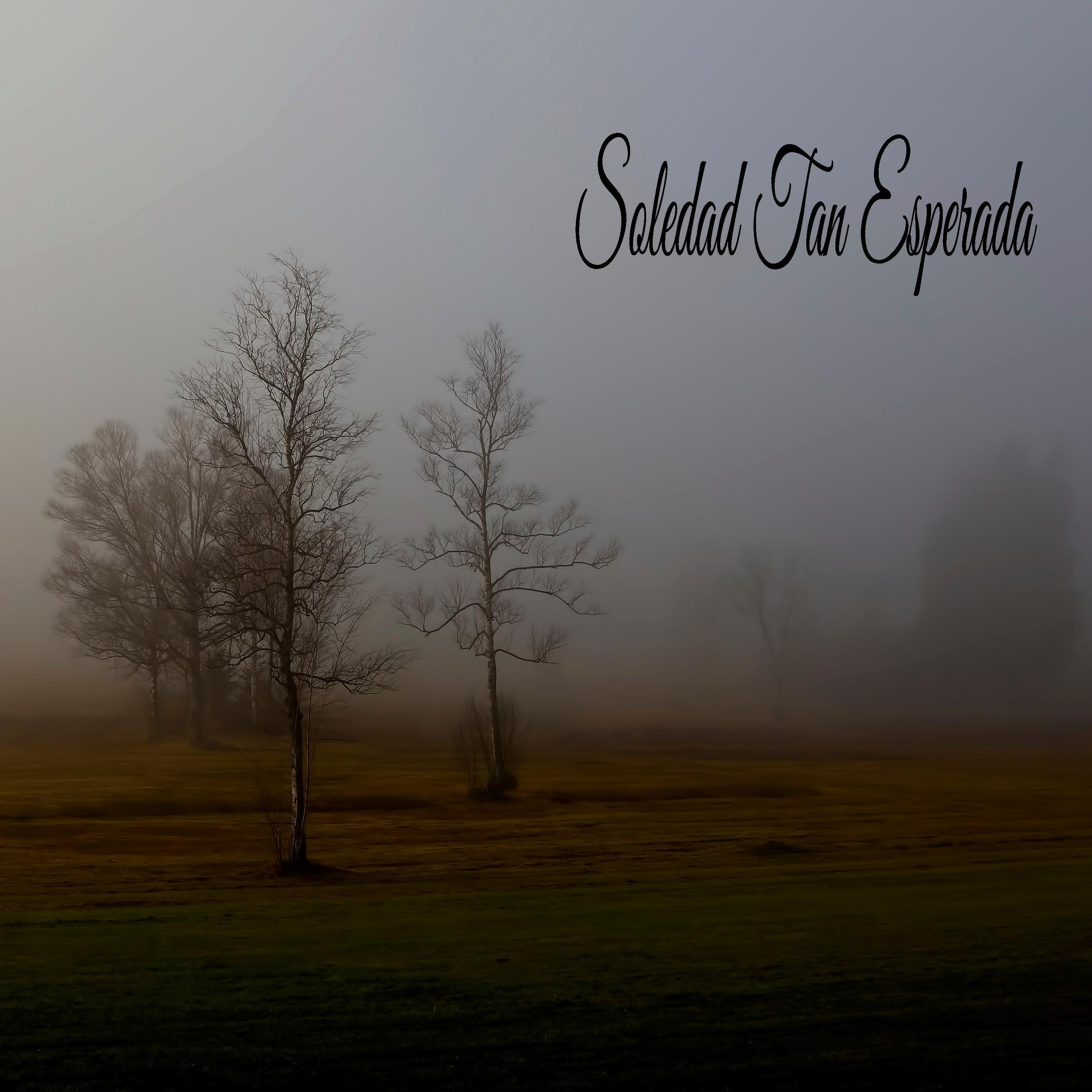 Релиз Soledad Tan Esperada