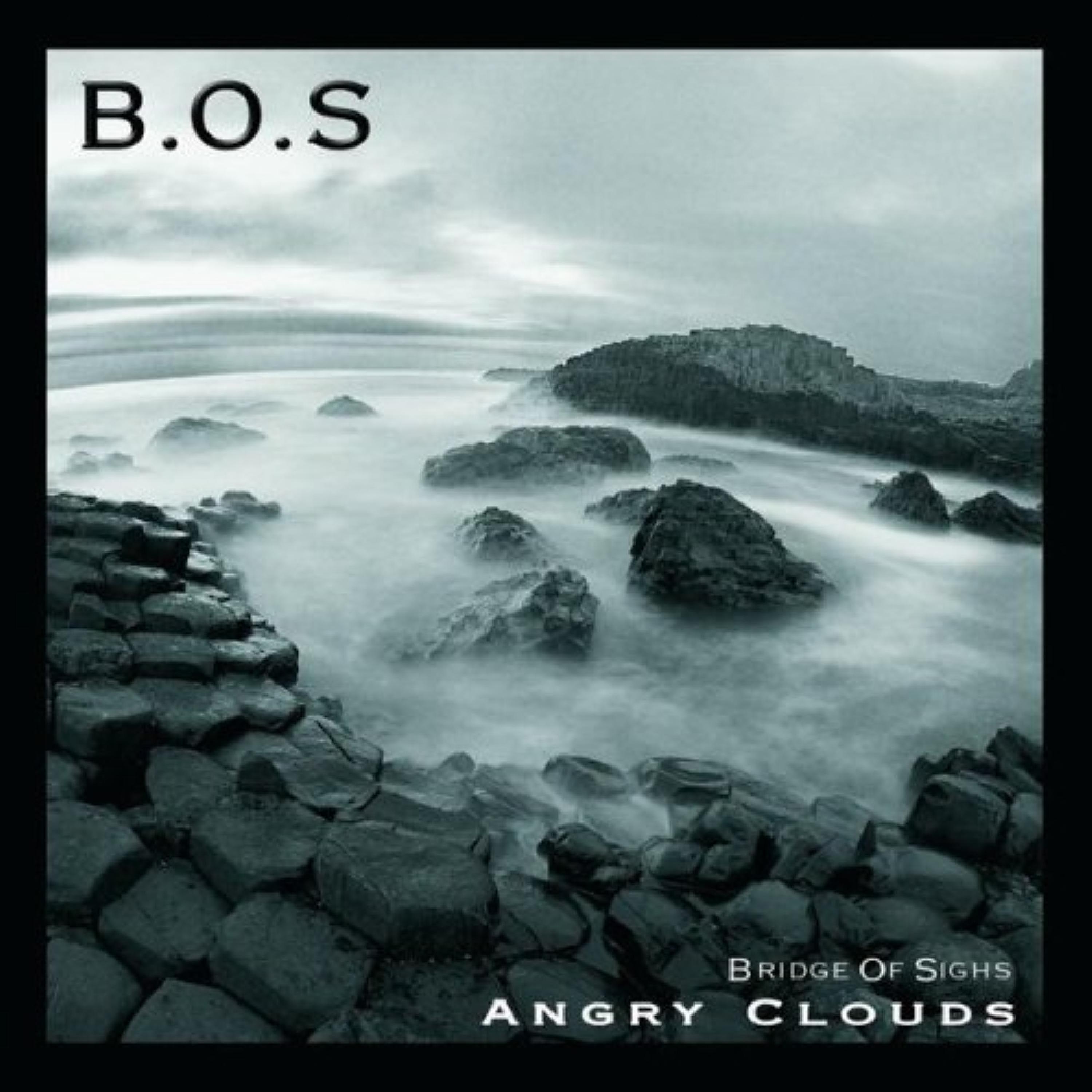 The B.O.S.