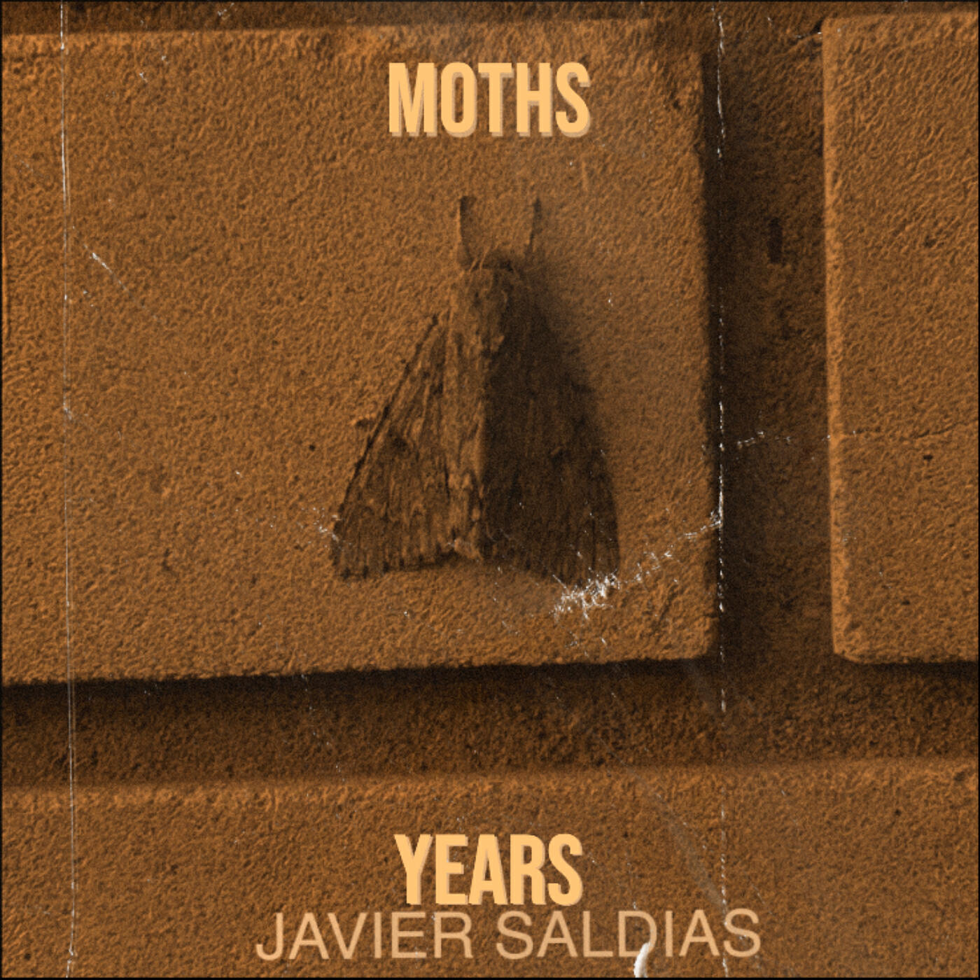 Релиз Moths