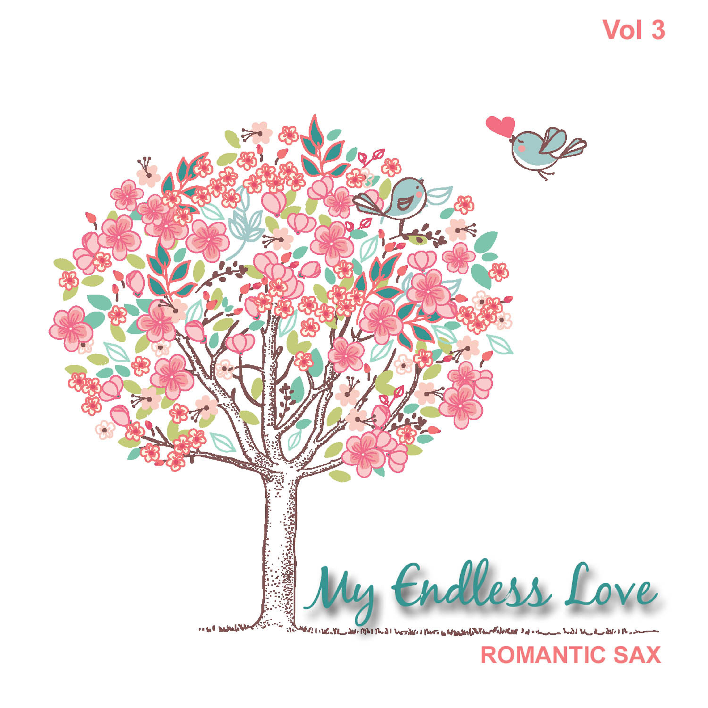 Релиз My Endless Love, Vol.3
