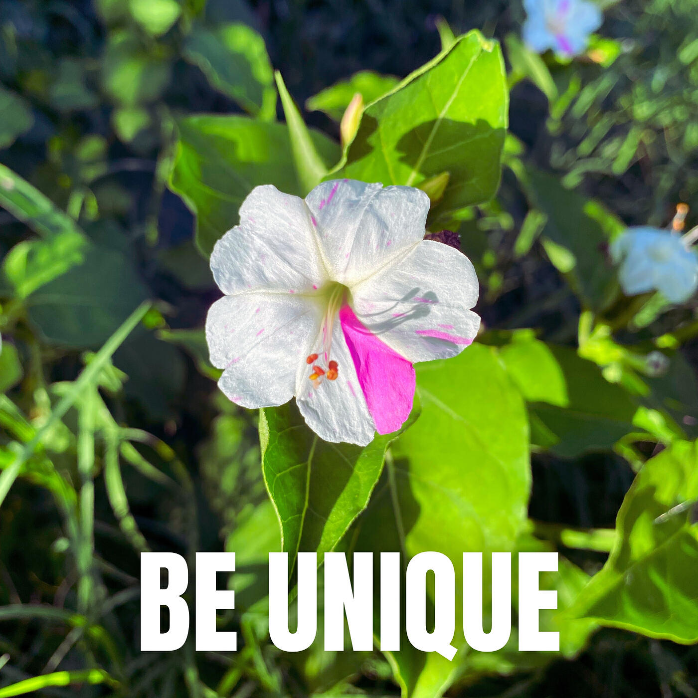 Релиз Be Unique