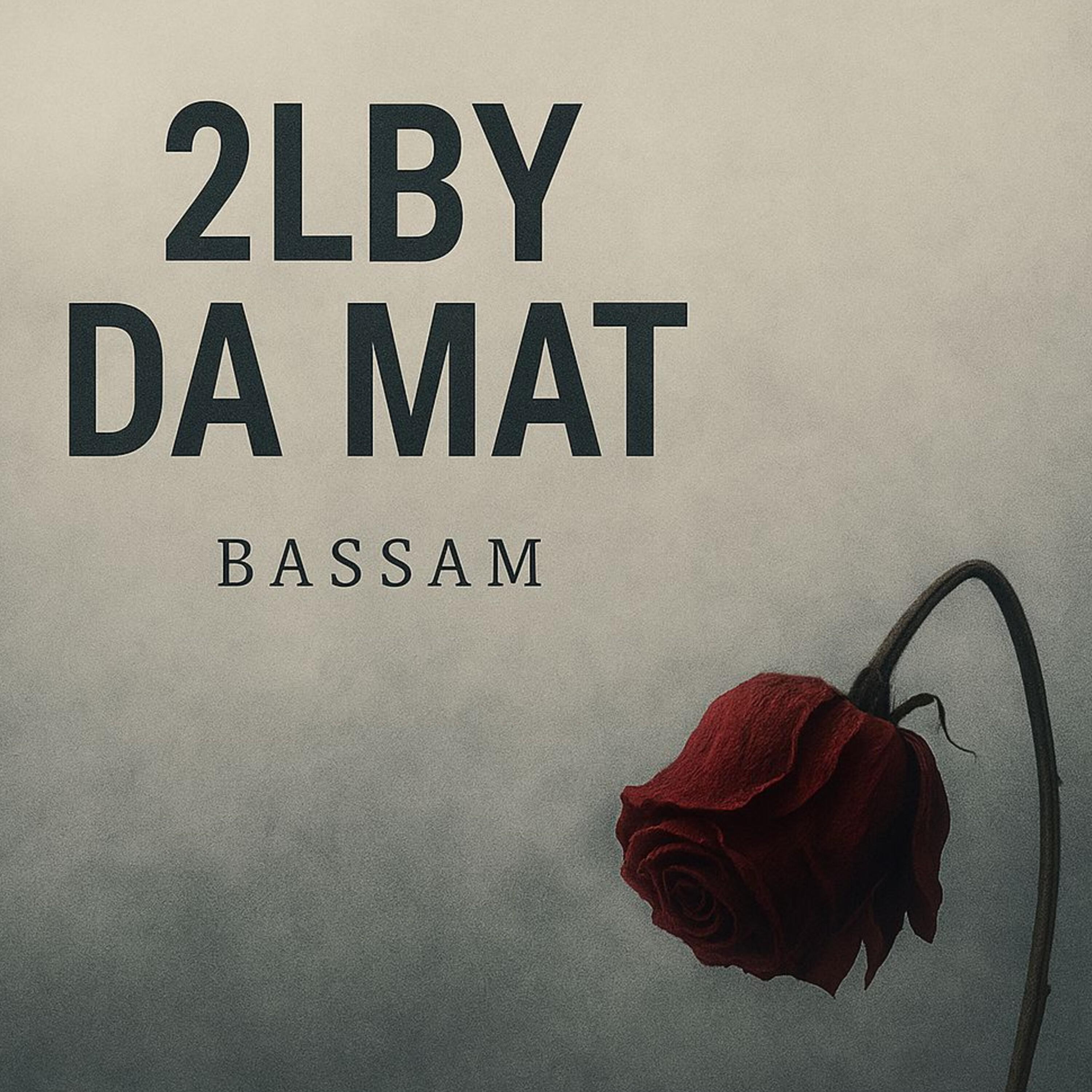 Релиз 2LBY DA MAT