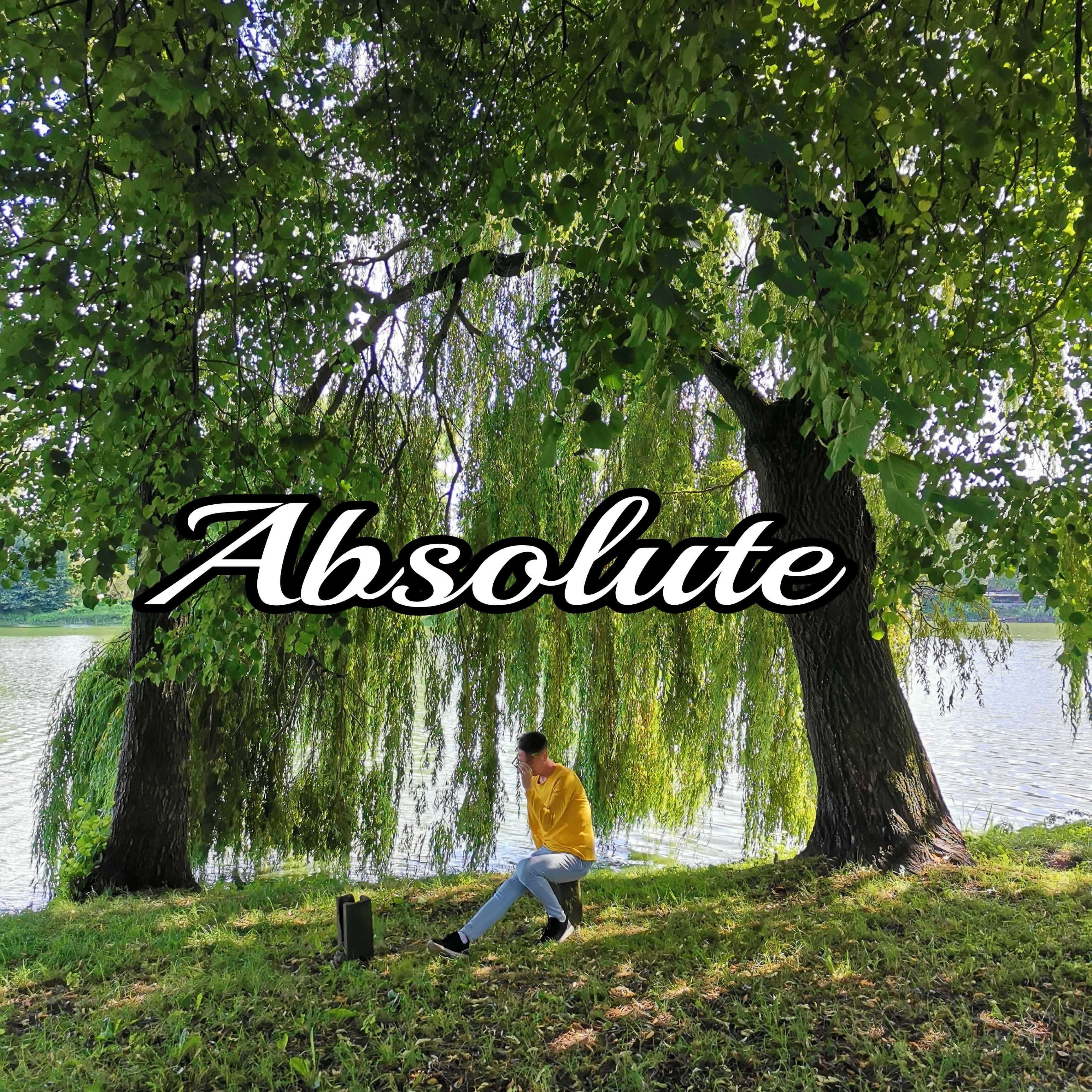 Постер альбома Absolute