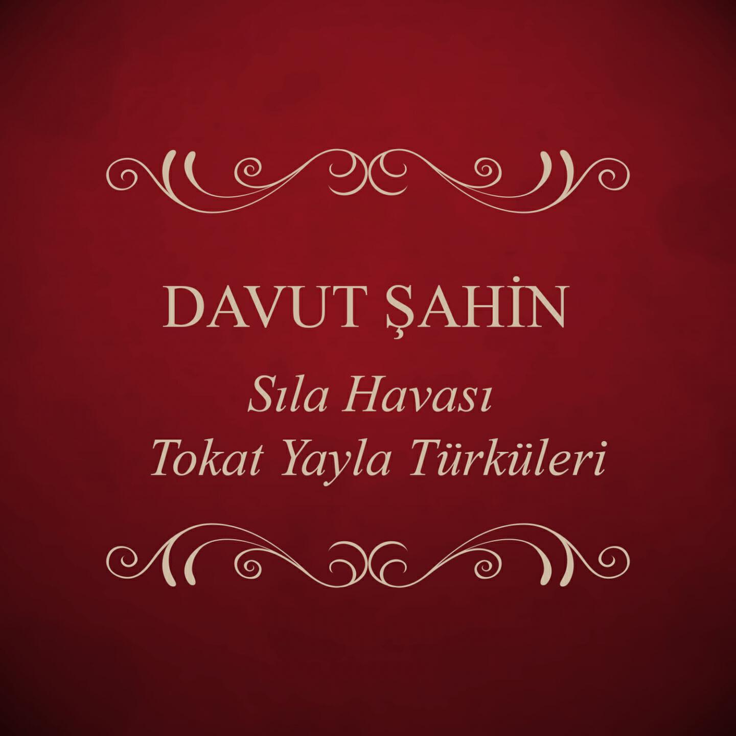 Релиз Sıla Havası Tokat Yayla Türküleri