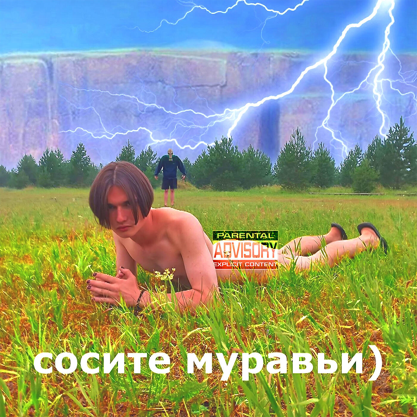 Релиз Сосите муравьи