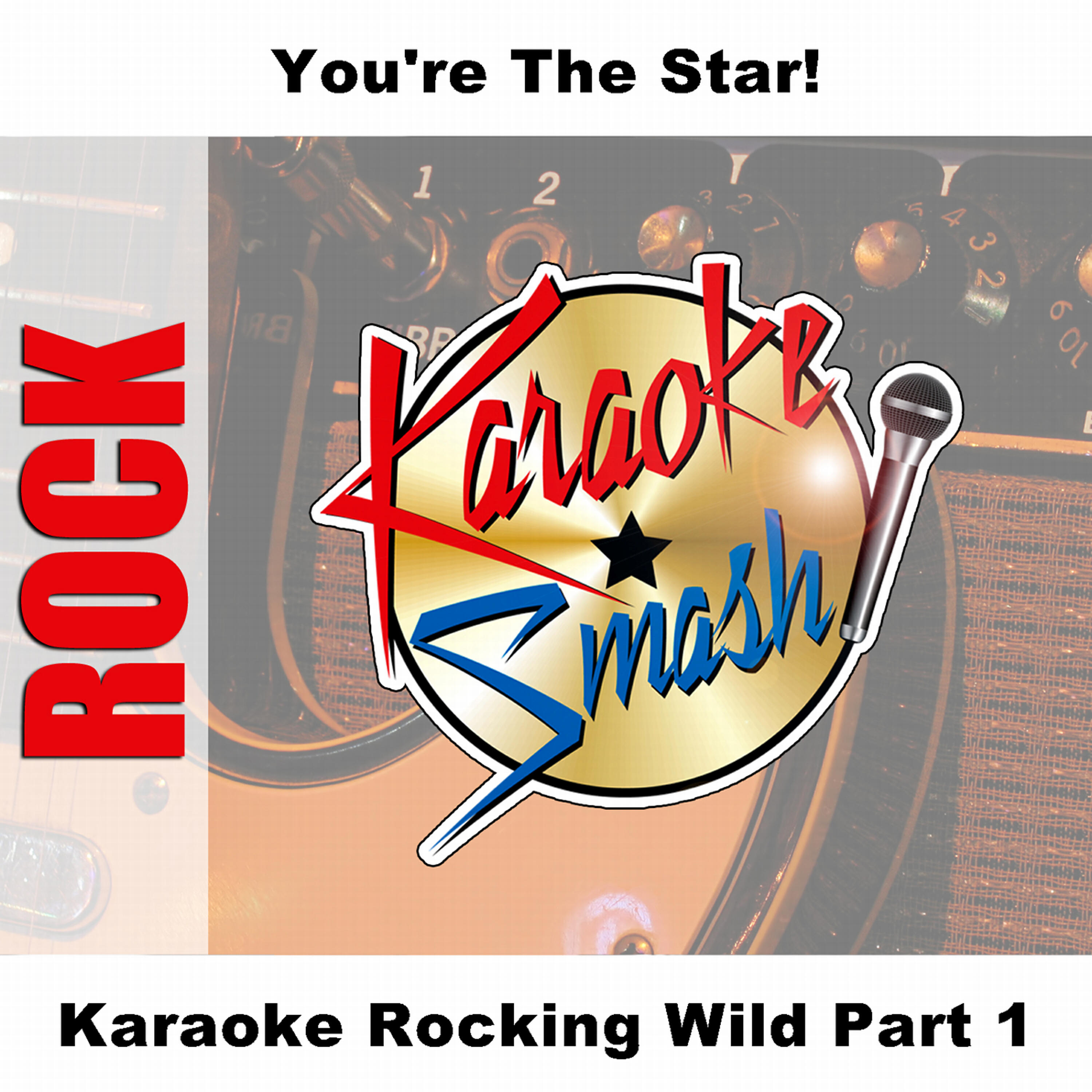 Релиз Karaoke Rocking Wild Part 1