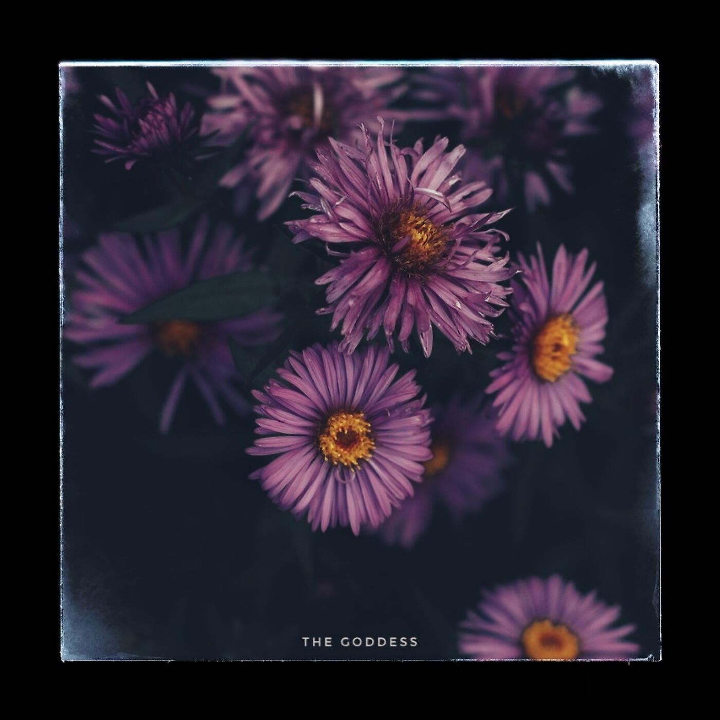 Релиз The Goddess
