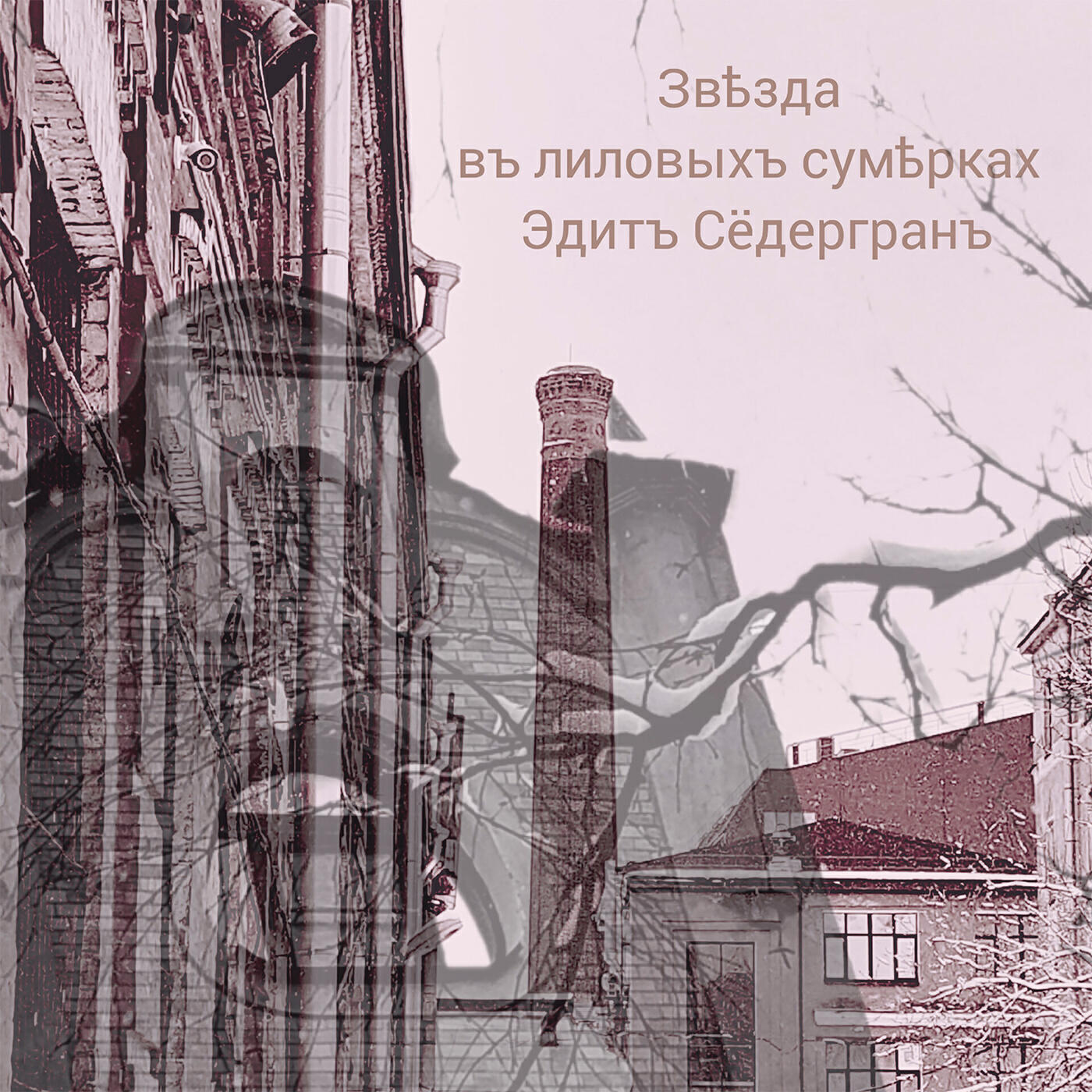 Книга Звѣзда въ лиловыхъ сумѣрках