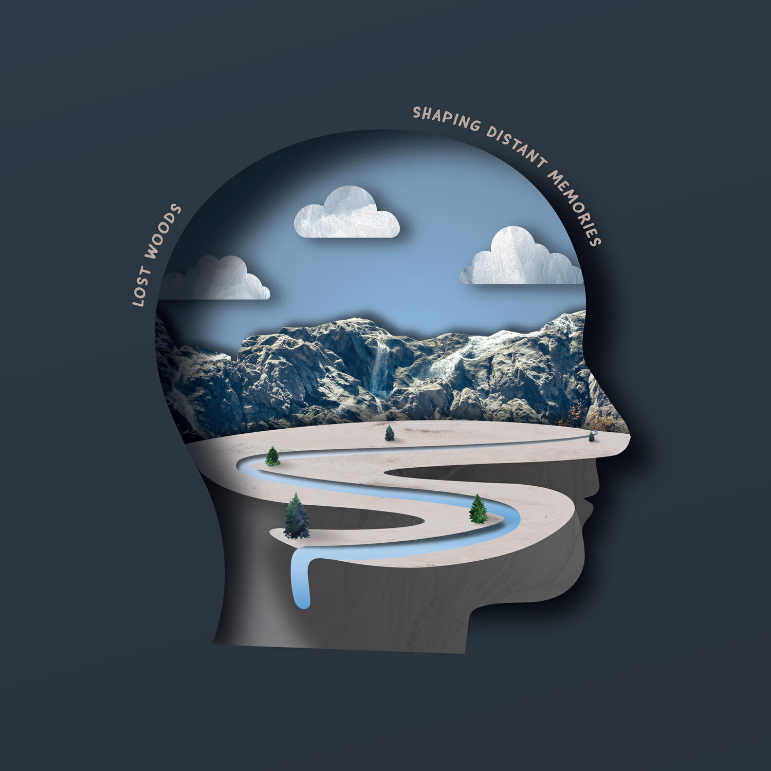 Релиз Shaping Distant Memories