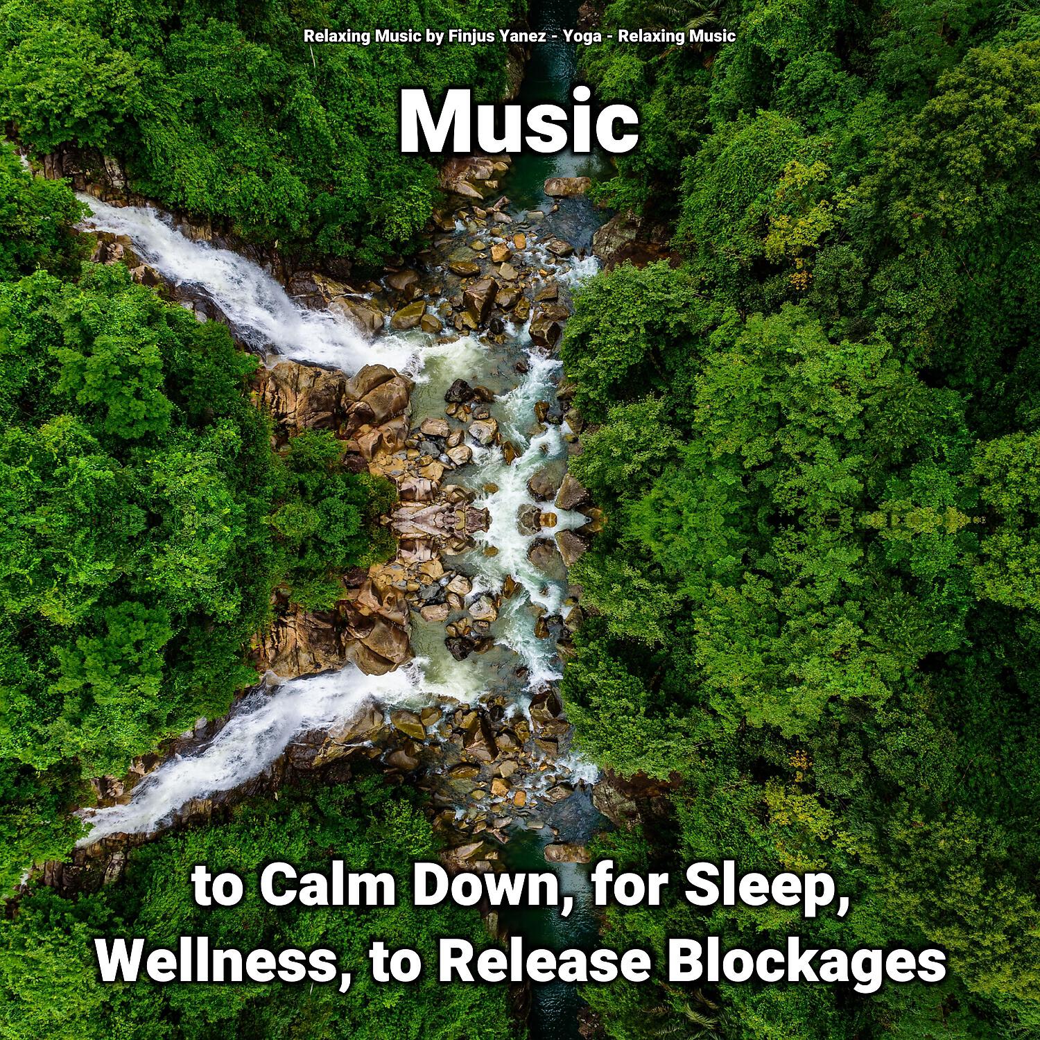 Релиз Music to Calm Down, for Sleep, Wellness, to Release Blockages