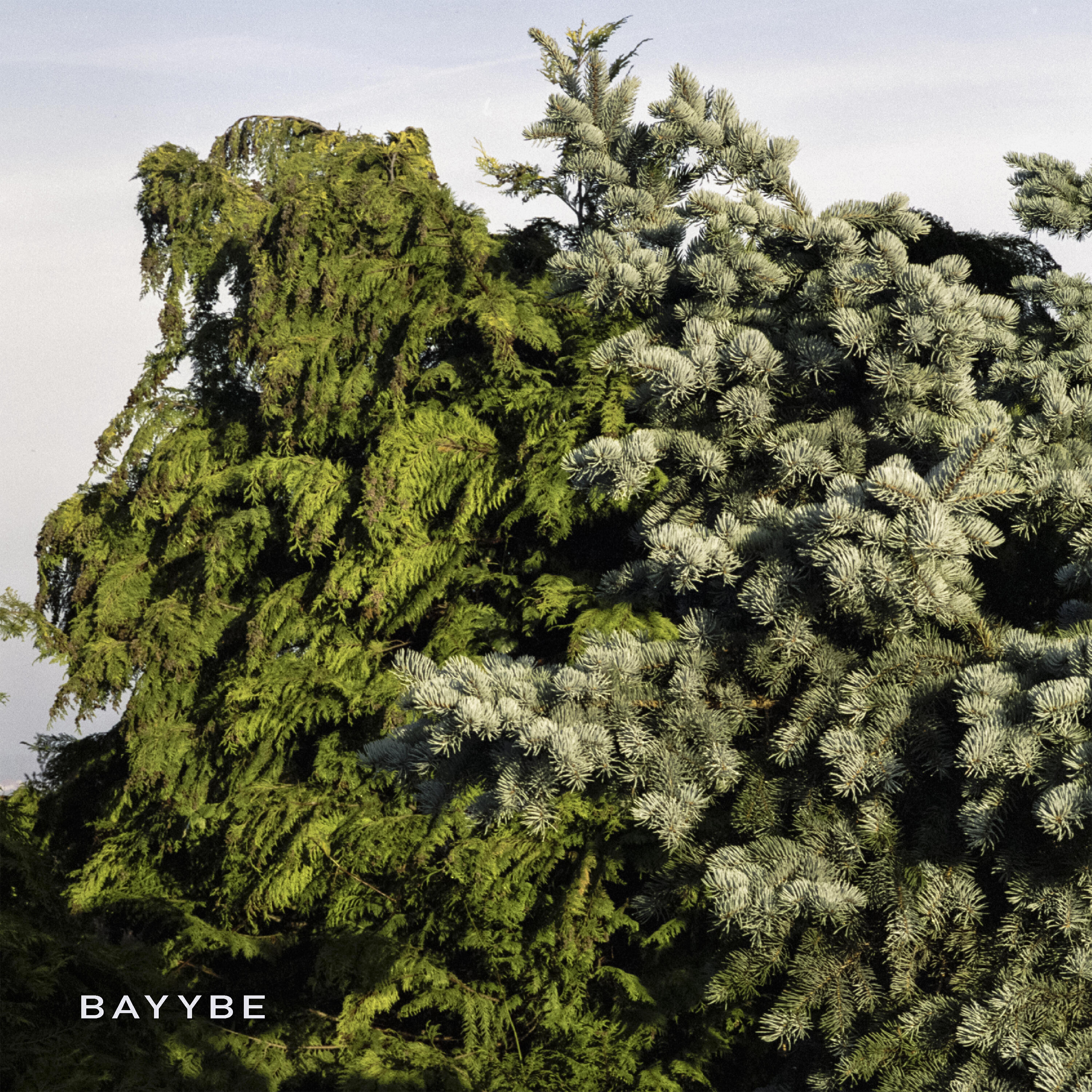 Релиз Bayybe
