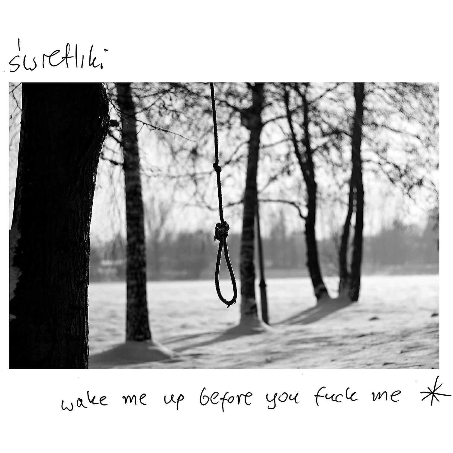 Релиз Wake Me Up Before You Fuck Me