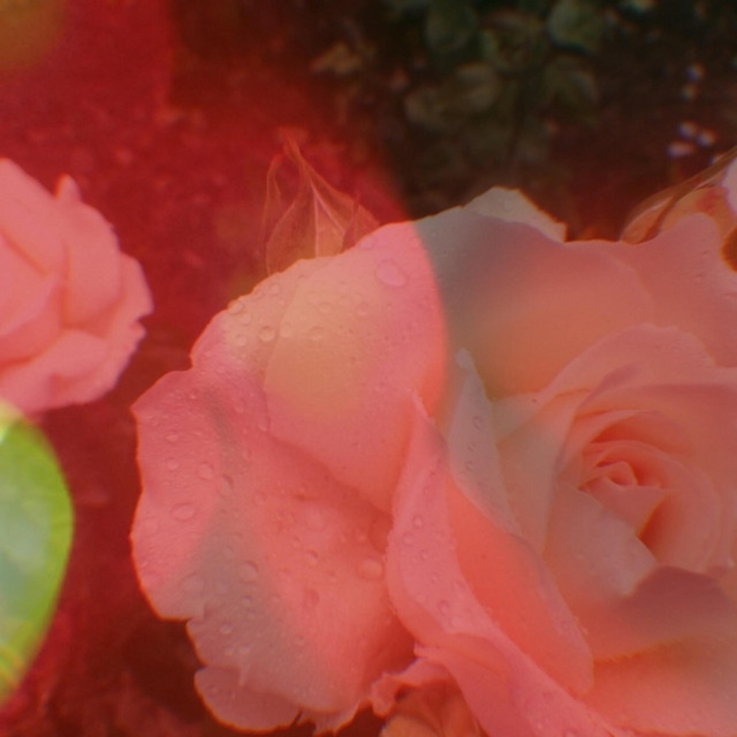 Релиз First Date