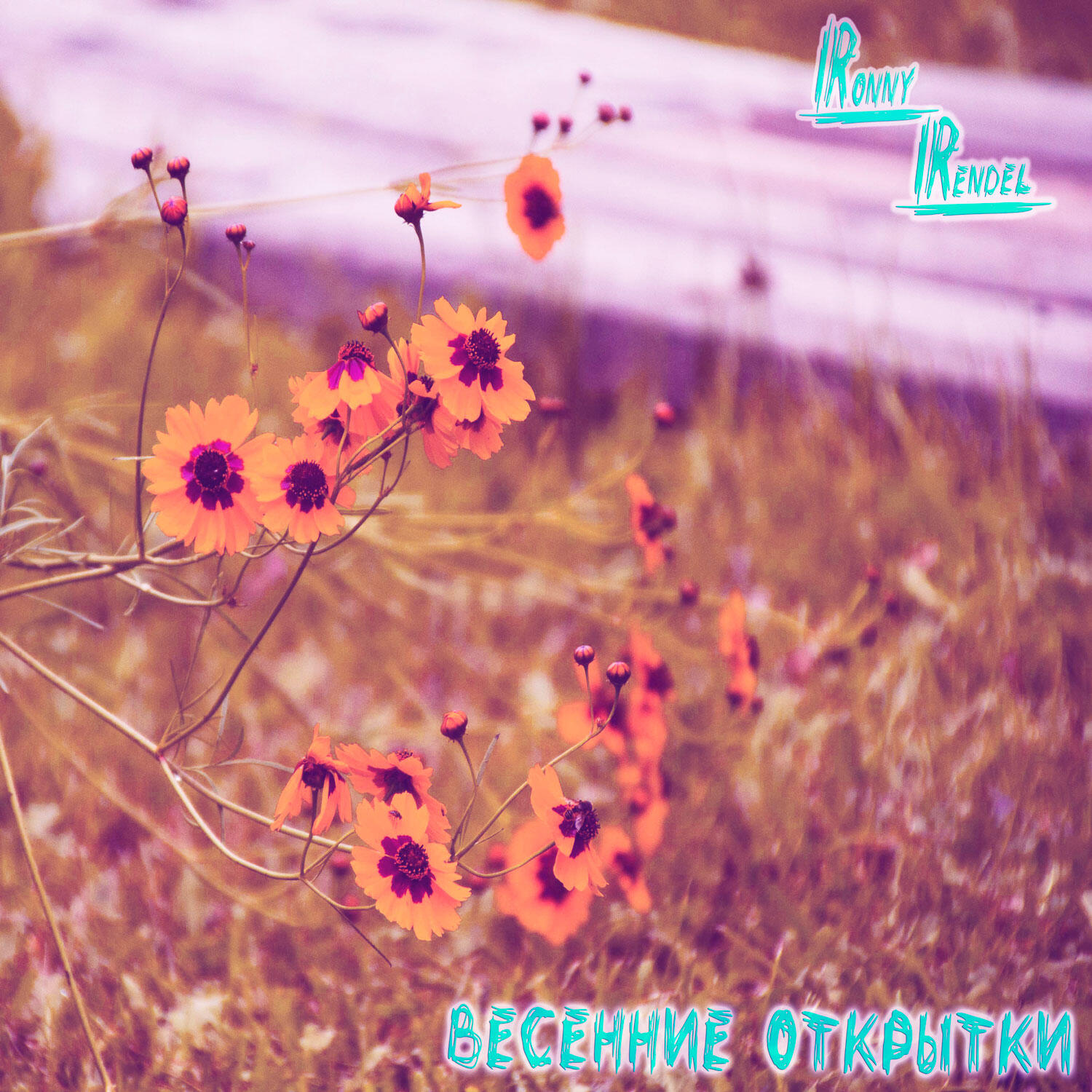 Релиз Весенние открытки