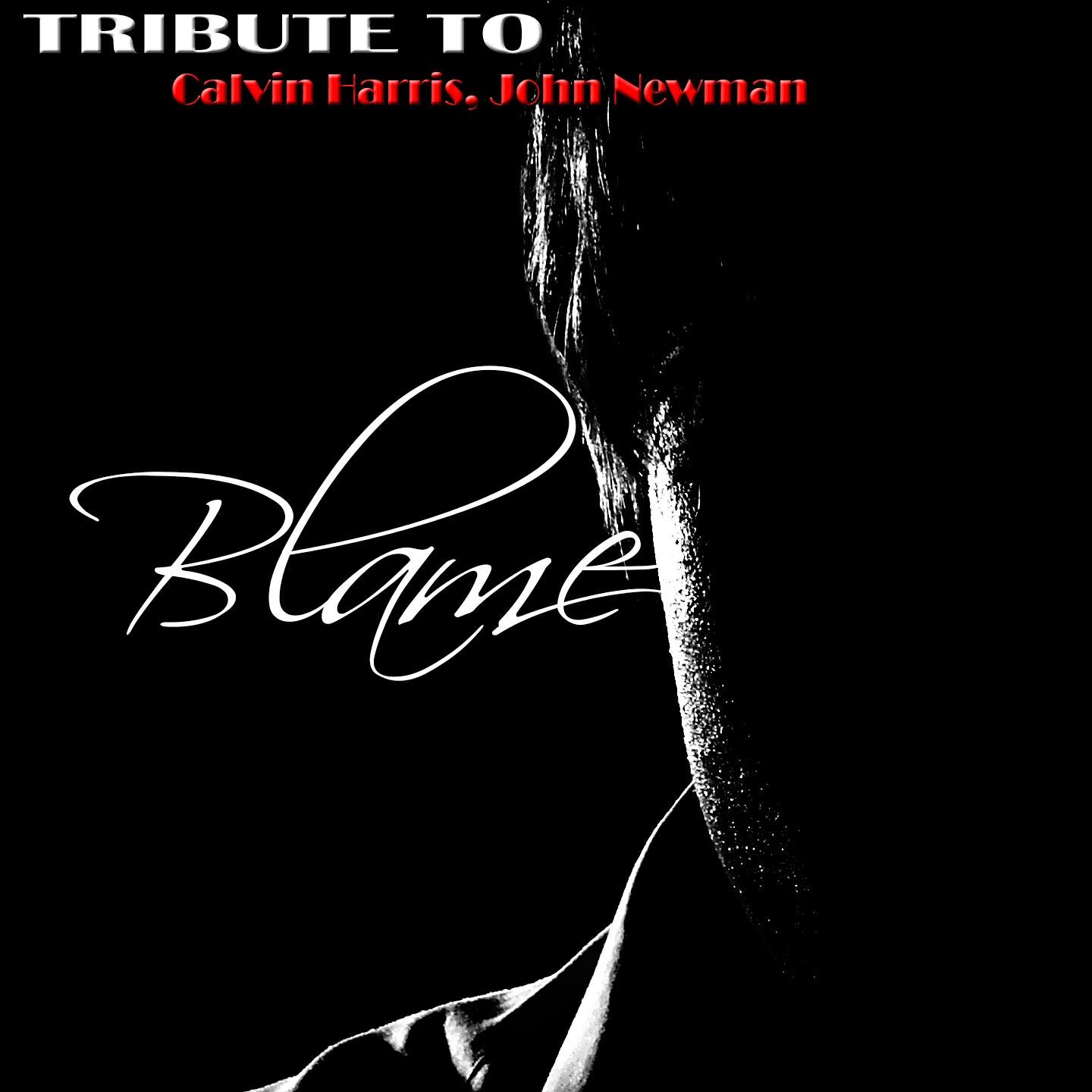 Релиз Blame: Tribute to Calvin Harris, John Newman