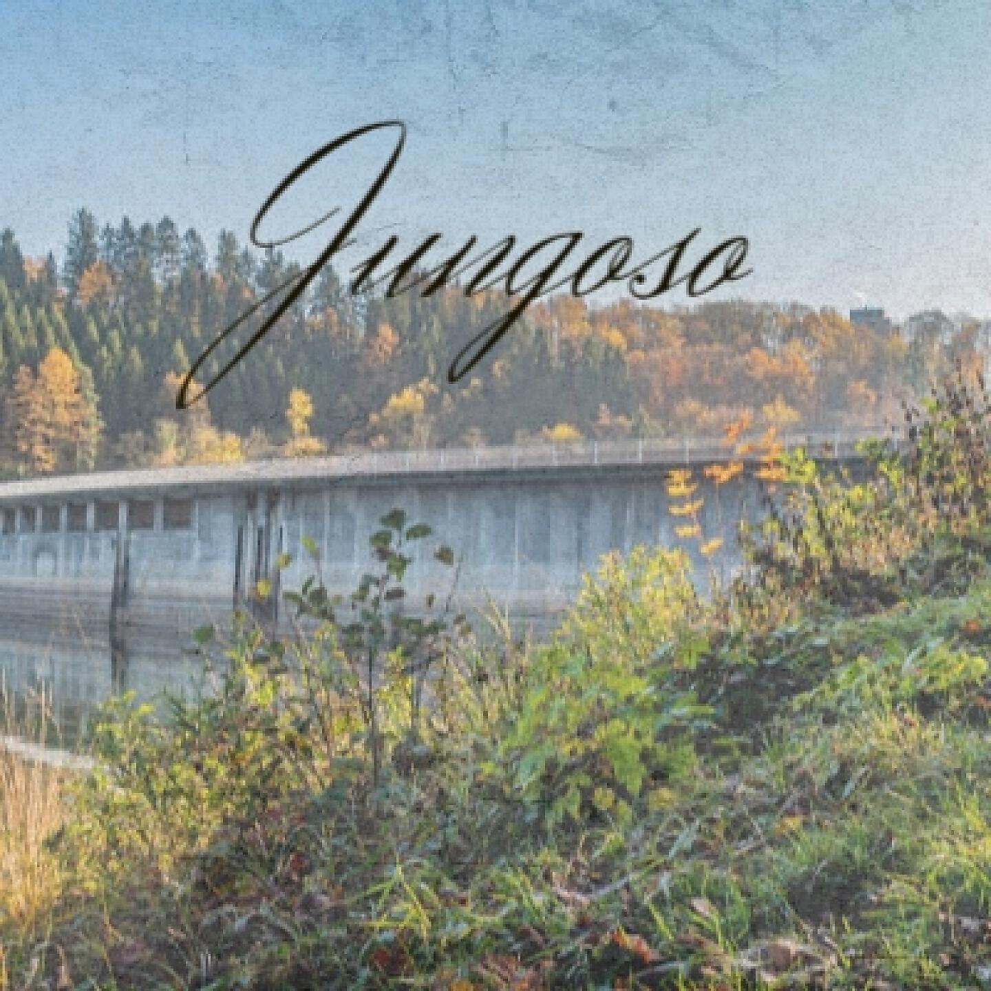 Релиз Jungoso