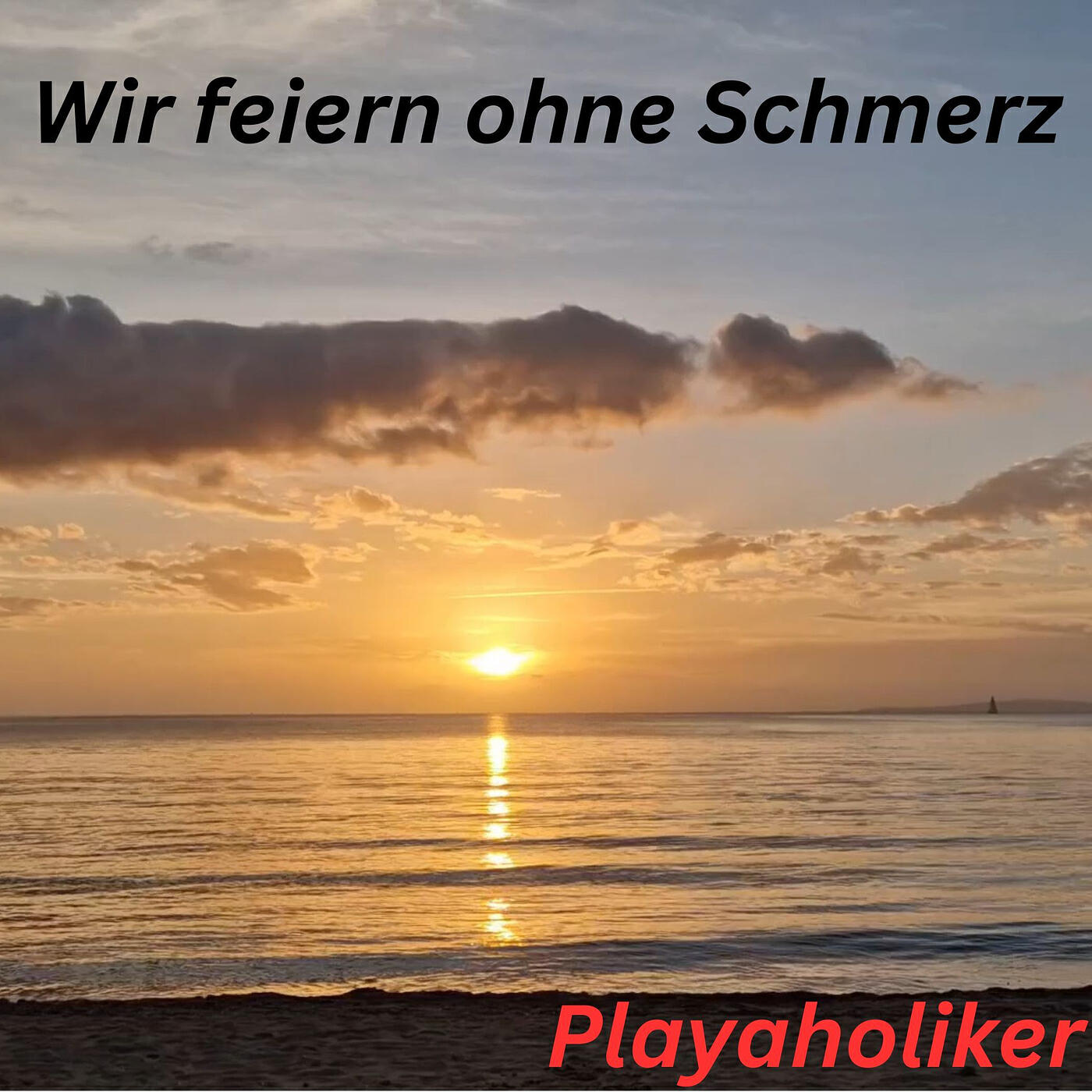 Релиз Wir Feiern Ohne Schmerz