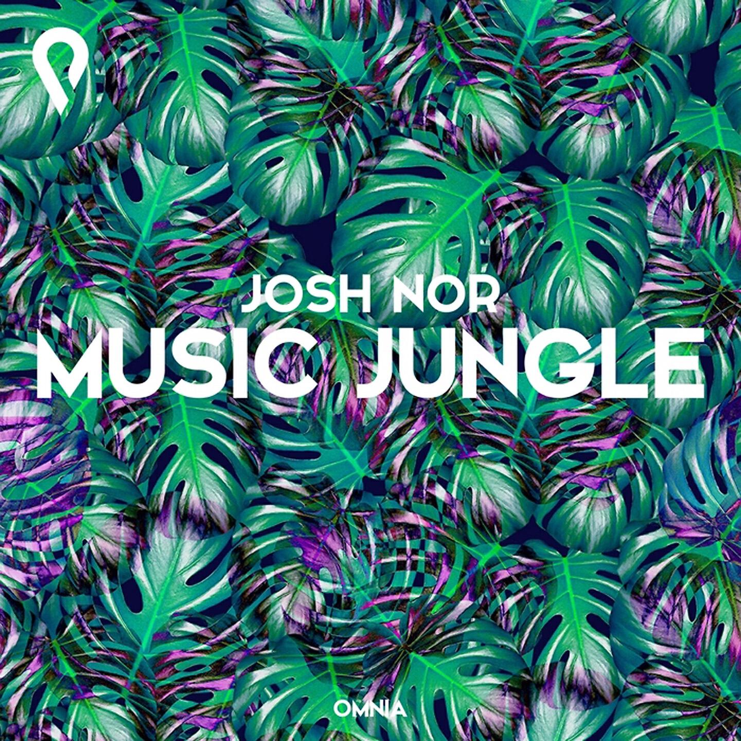 Релиз Music Jungle