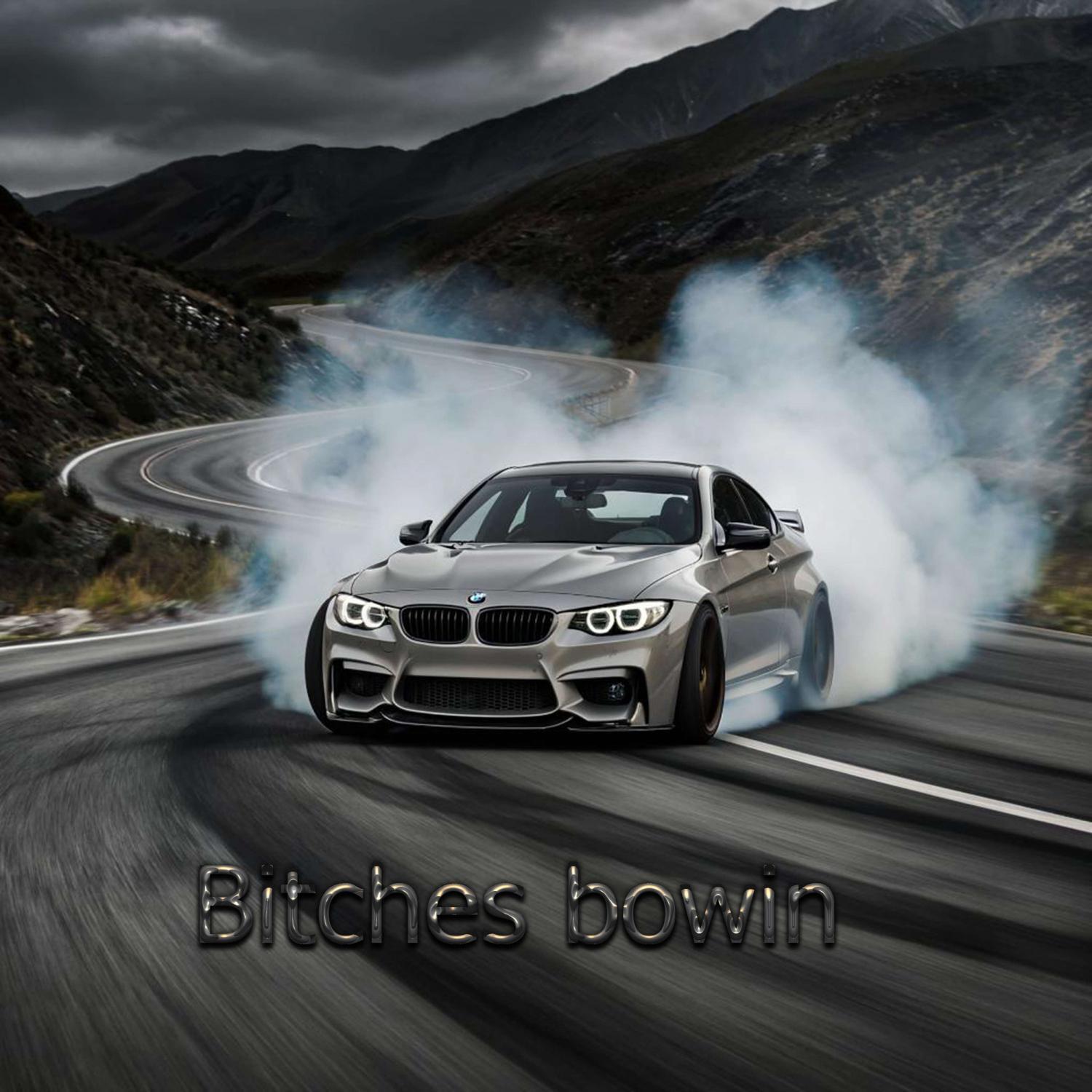Релиз Bitches bowin