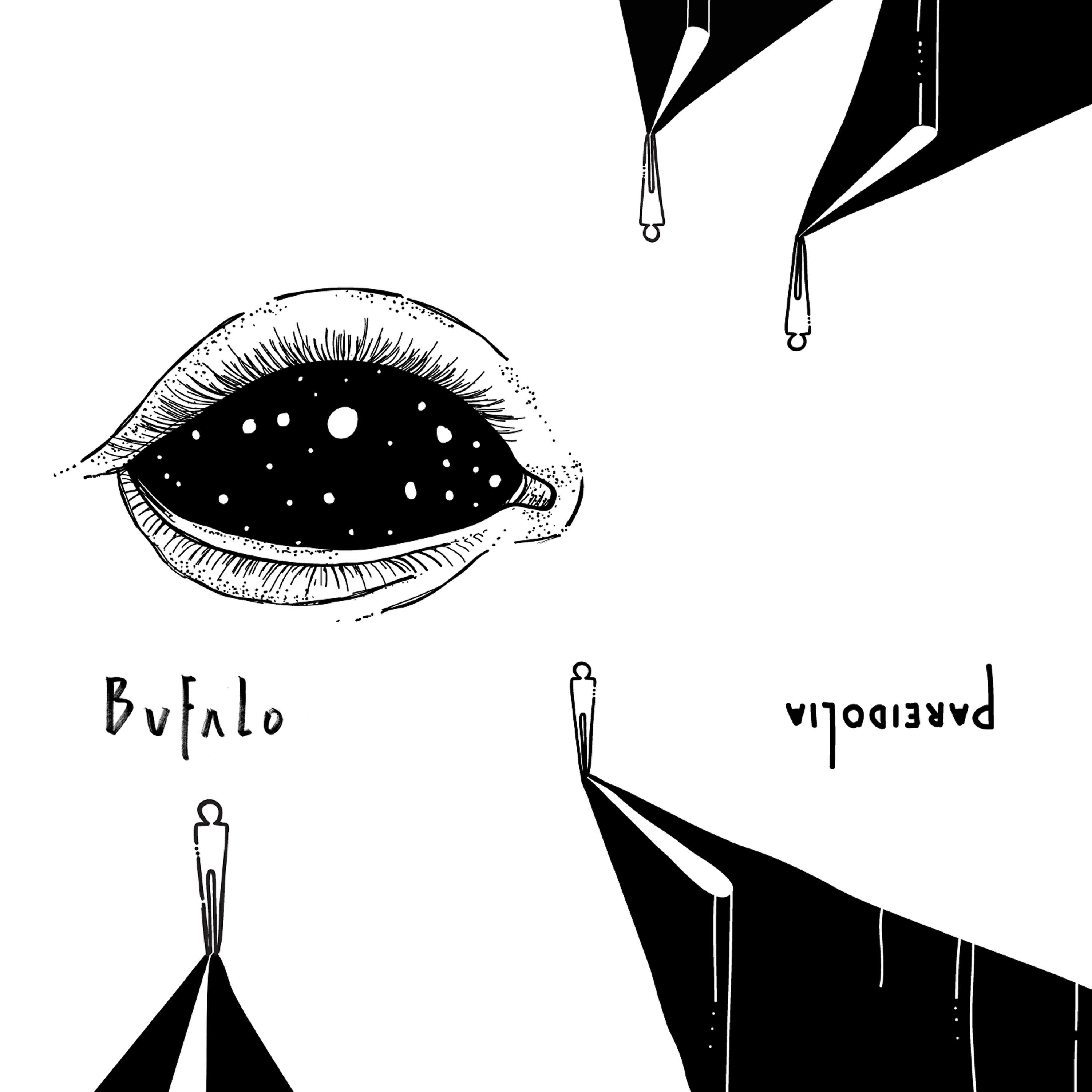 Релиз Pareidolia