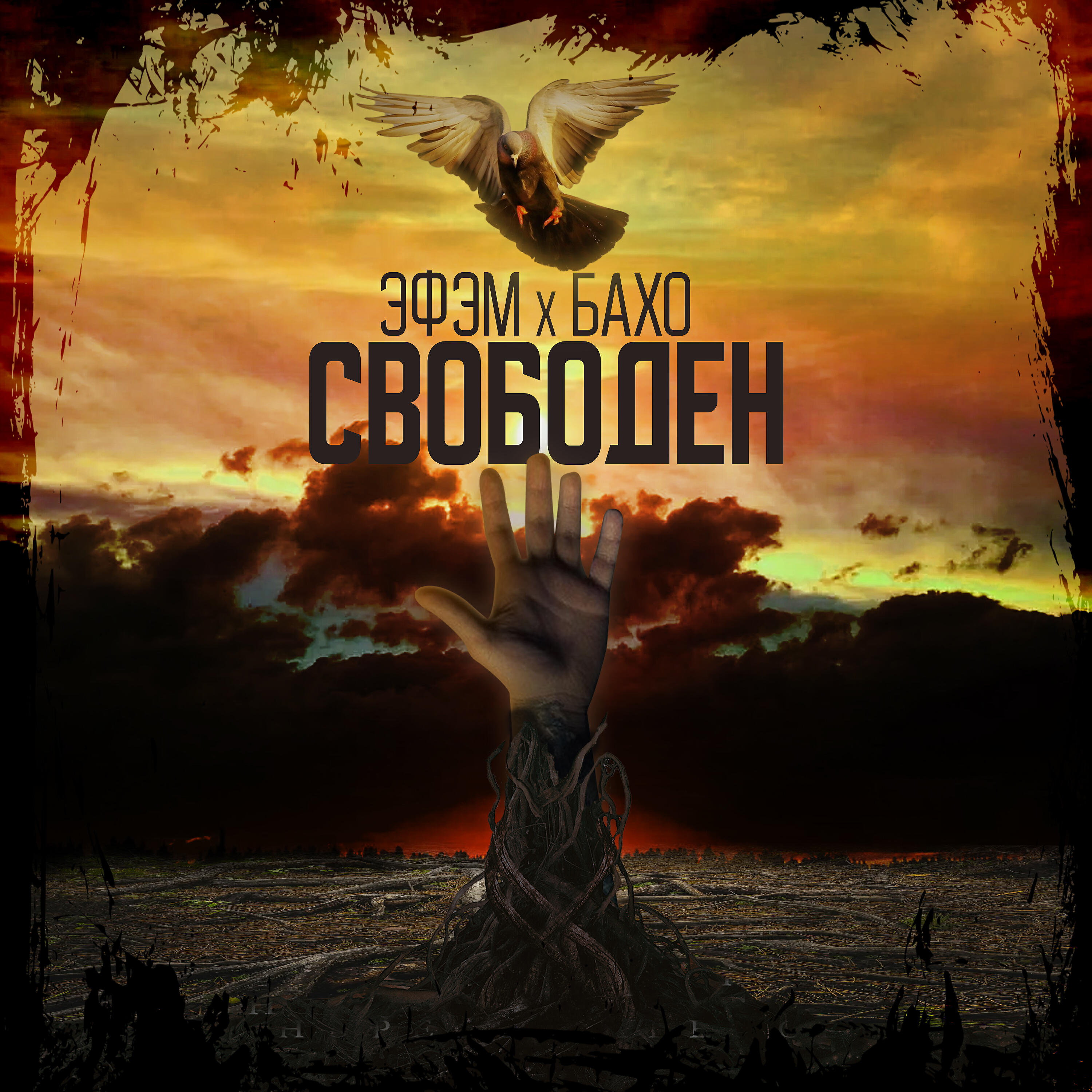 Релиз Свободен