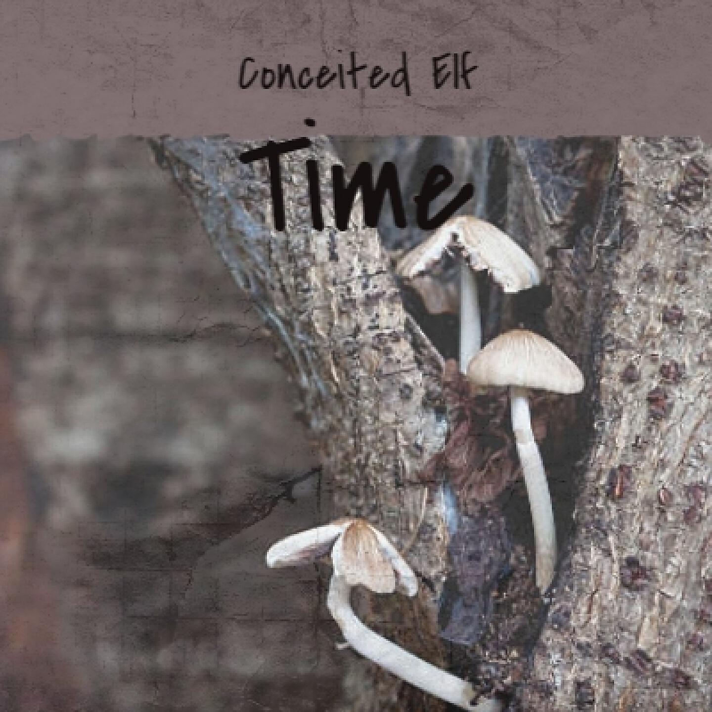 Релиз Conceited Elf Time