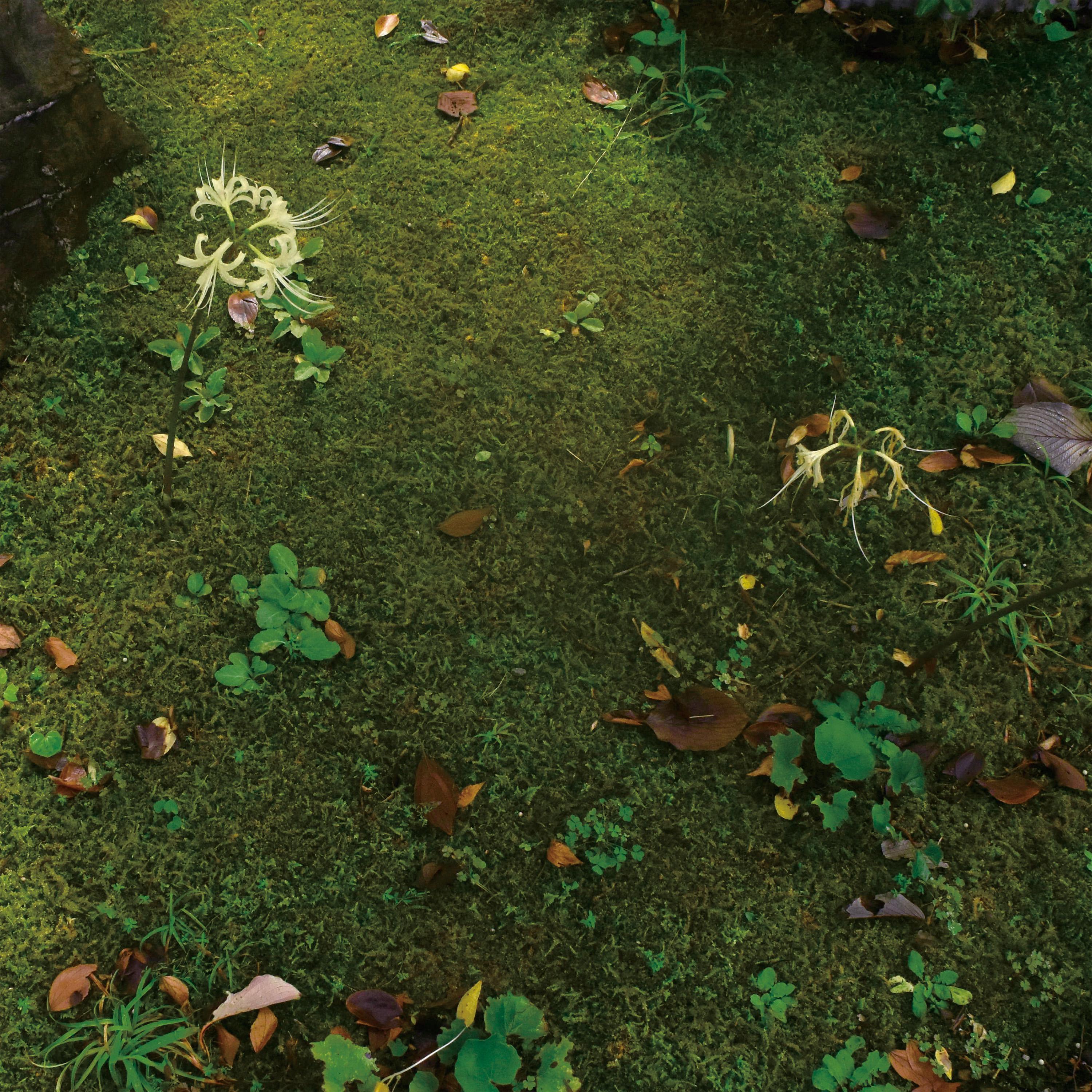 Релиз Summer Chronicles