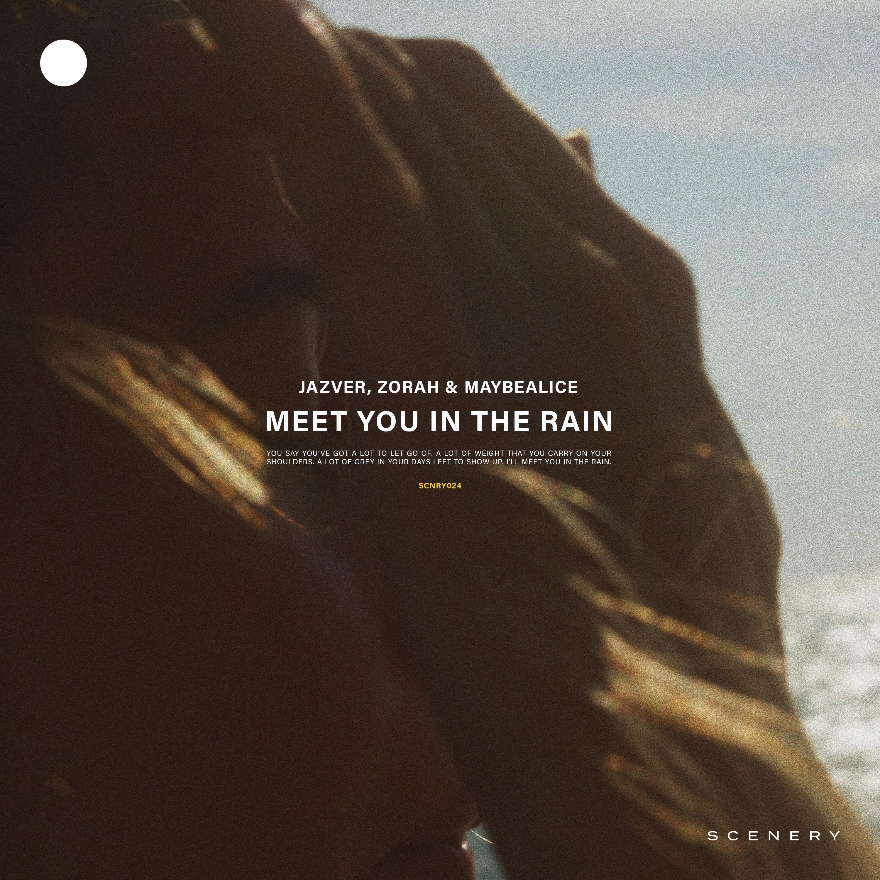Релиз Meet You In The Rain