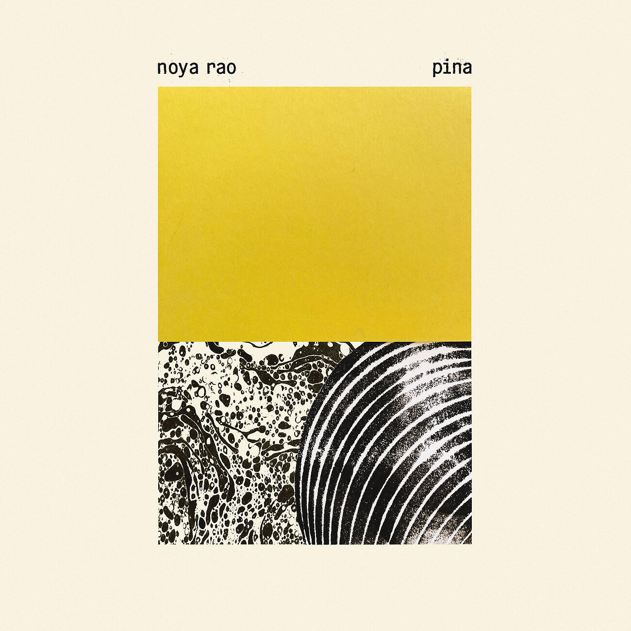 Релиз Pina
