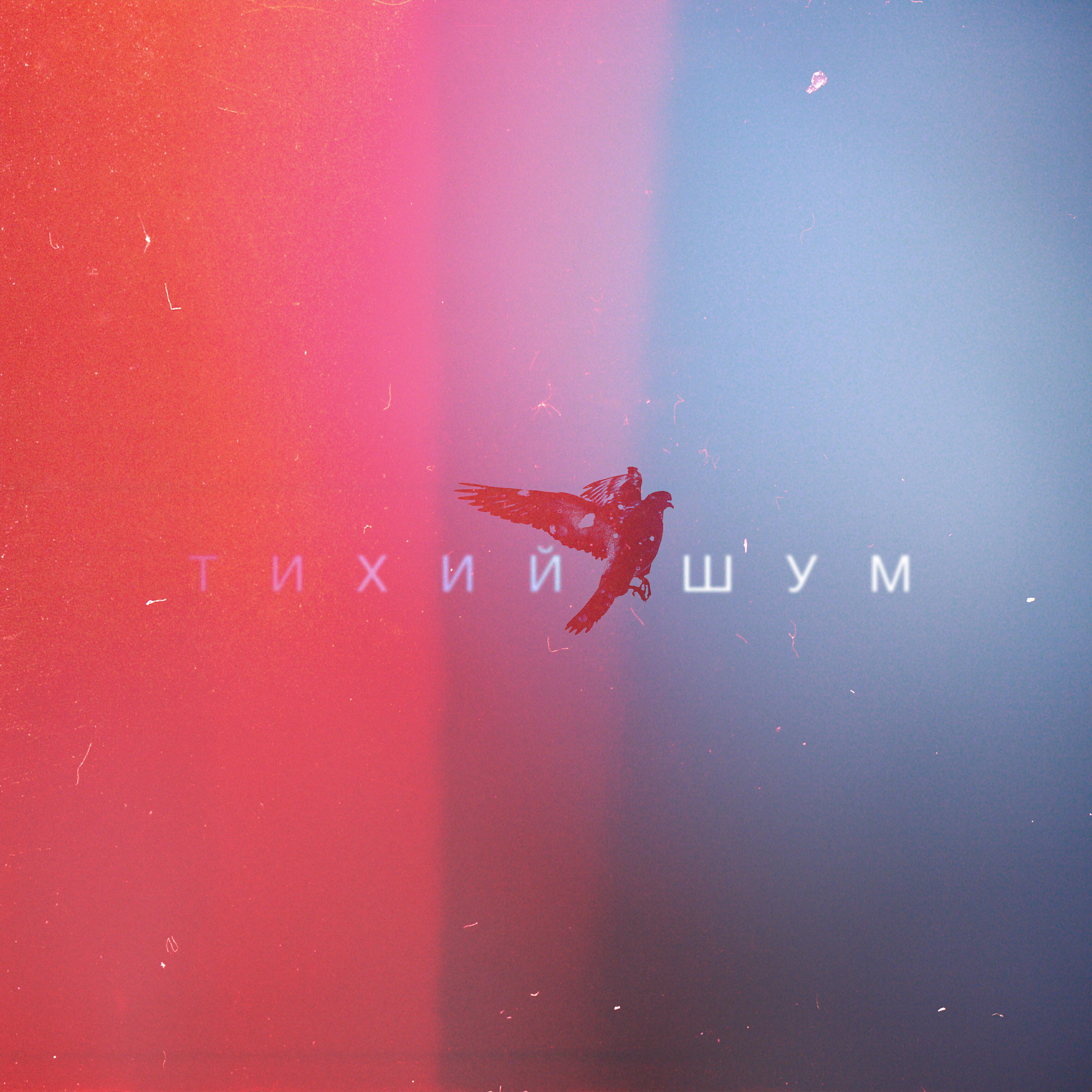 Релиз Тихий Шум