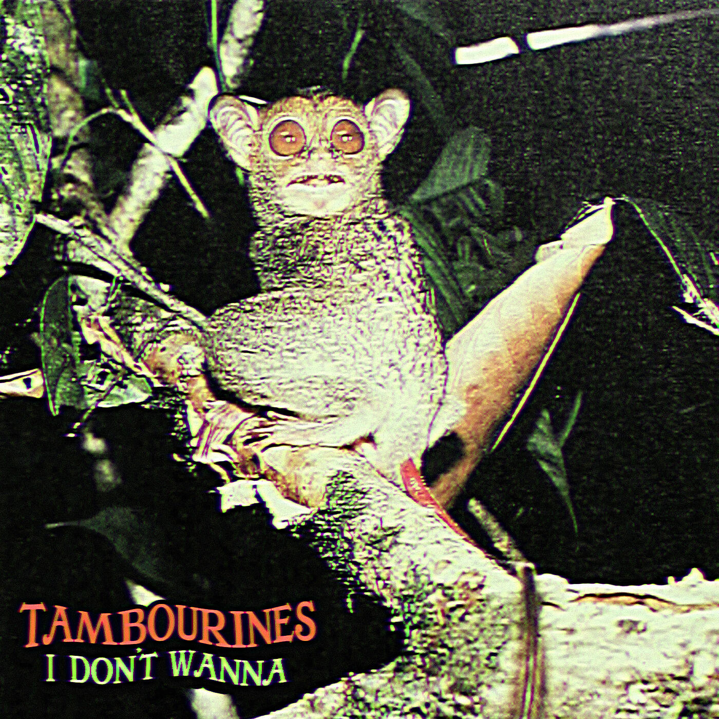 Релиз I Don't Wanna