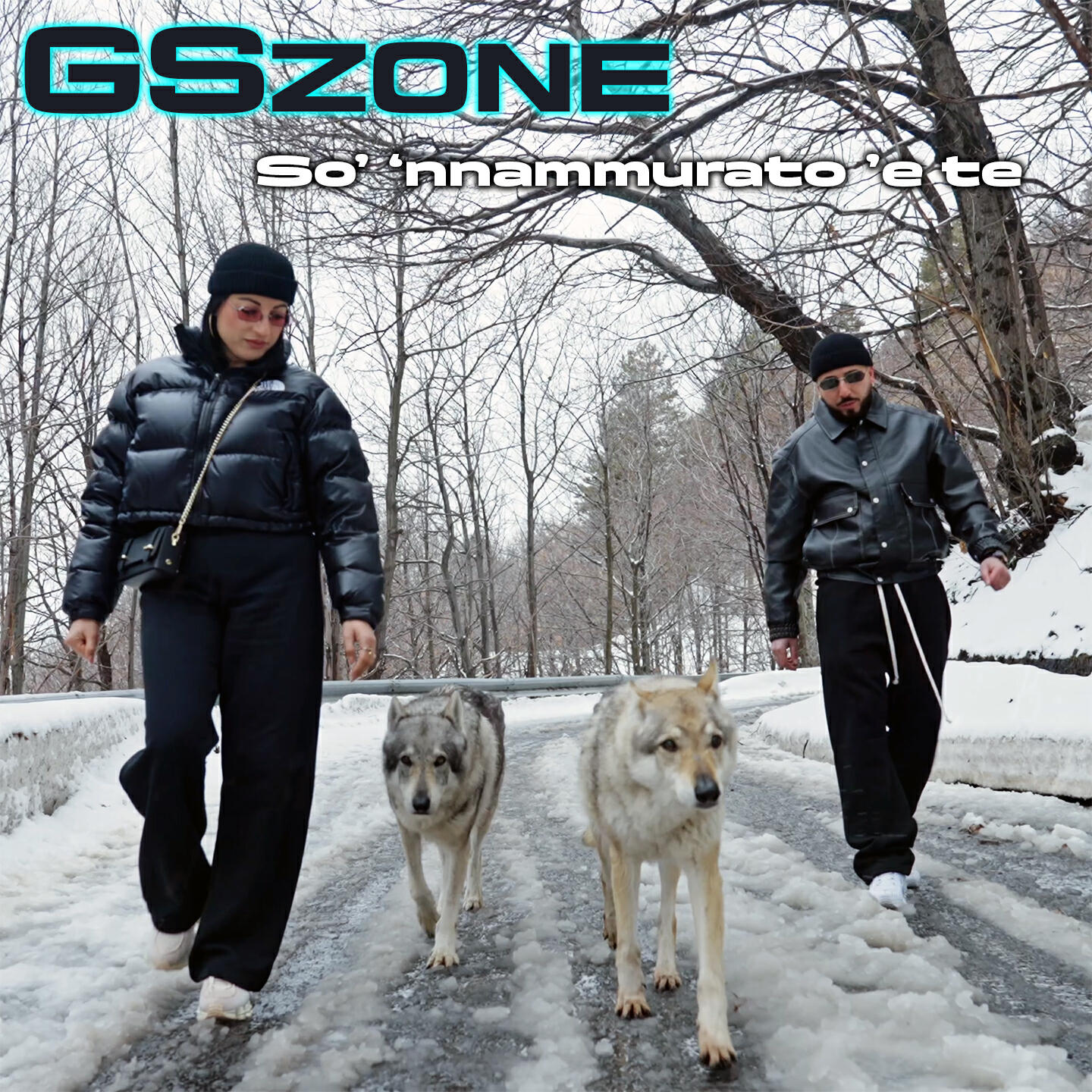 GSzone