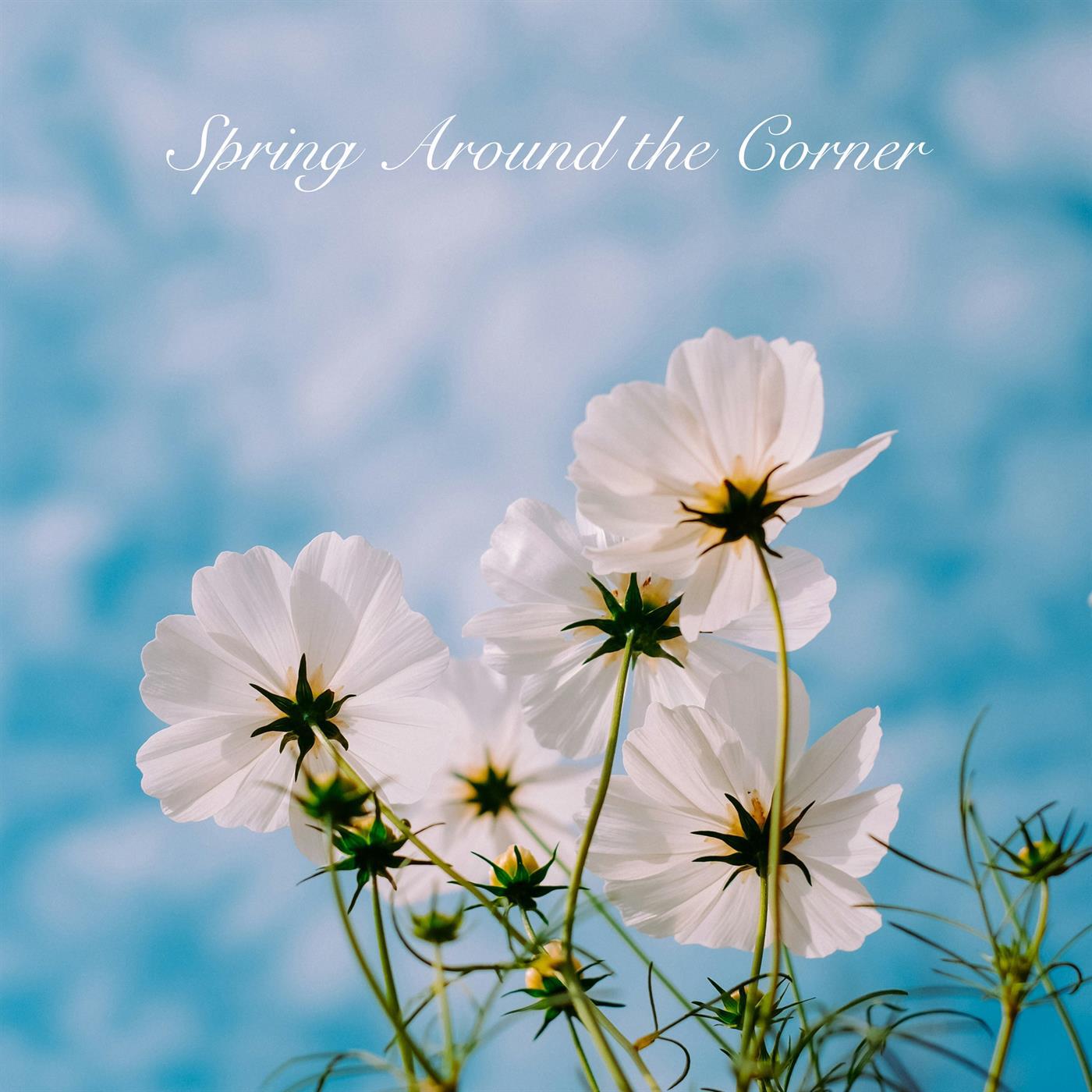Релиз Spring Around the Corner