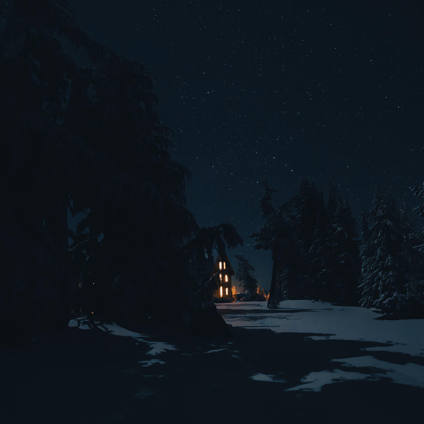 Релиз The Night Turning Soft