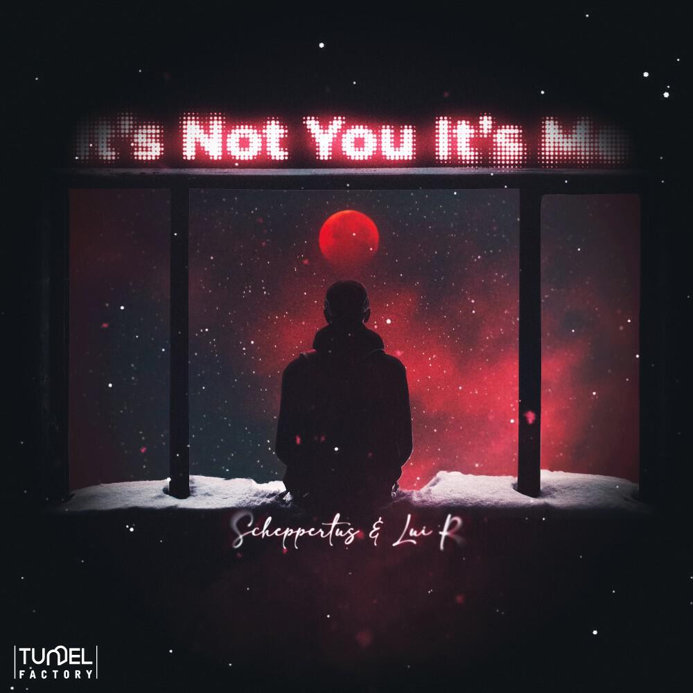 Релиз It's Not You It's Me