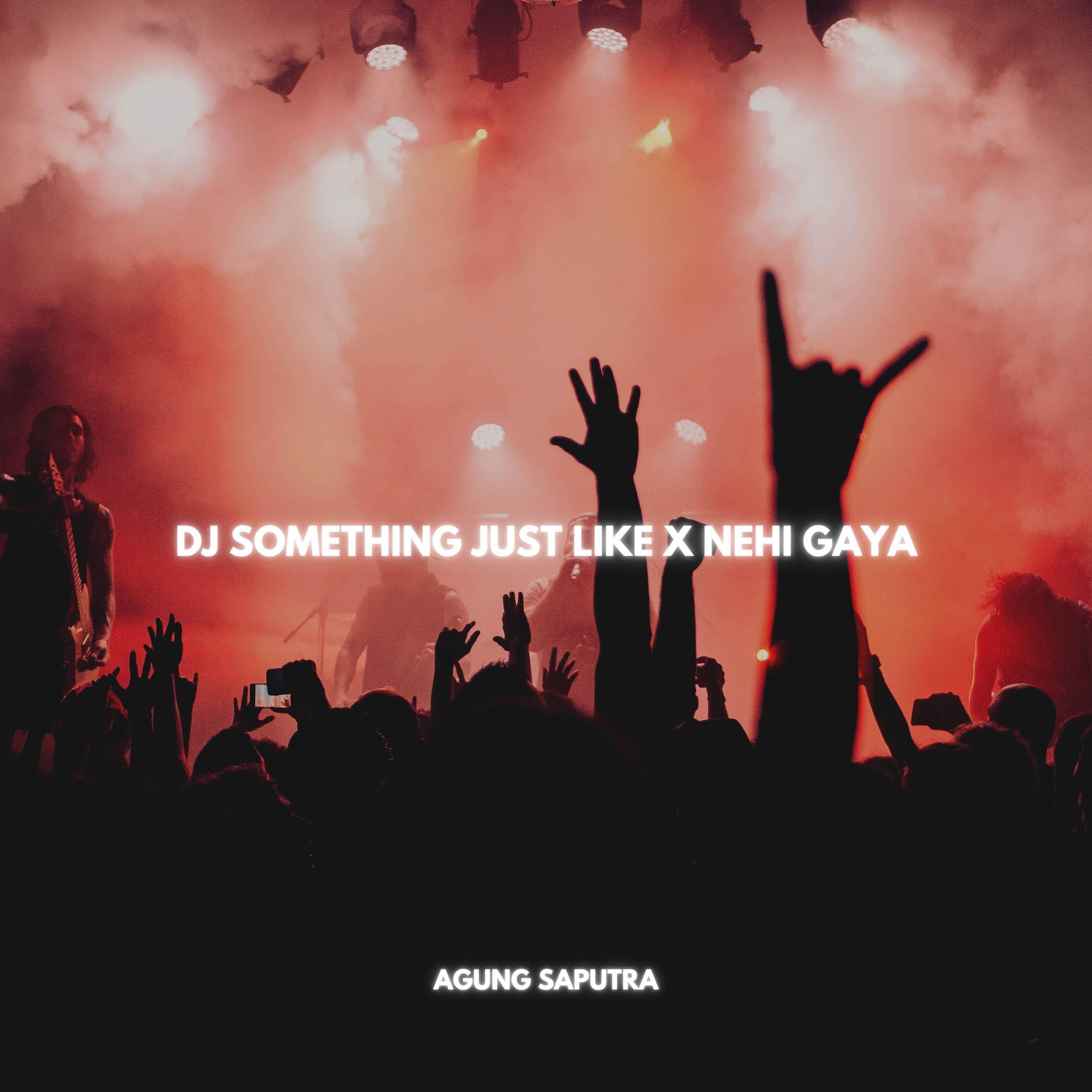 Релиз DJ SOMETHING JUST LIKE X NEHI GAYA