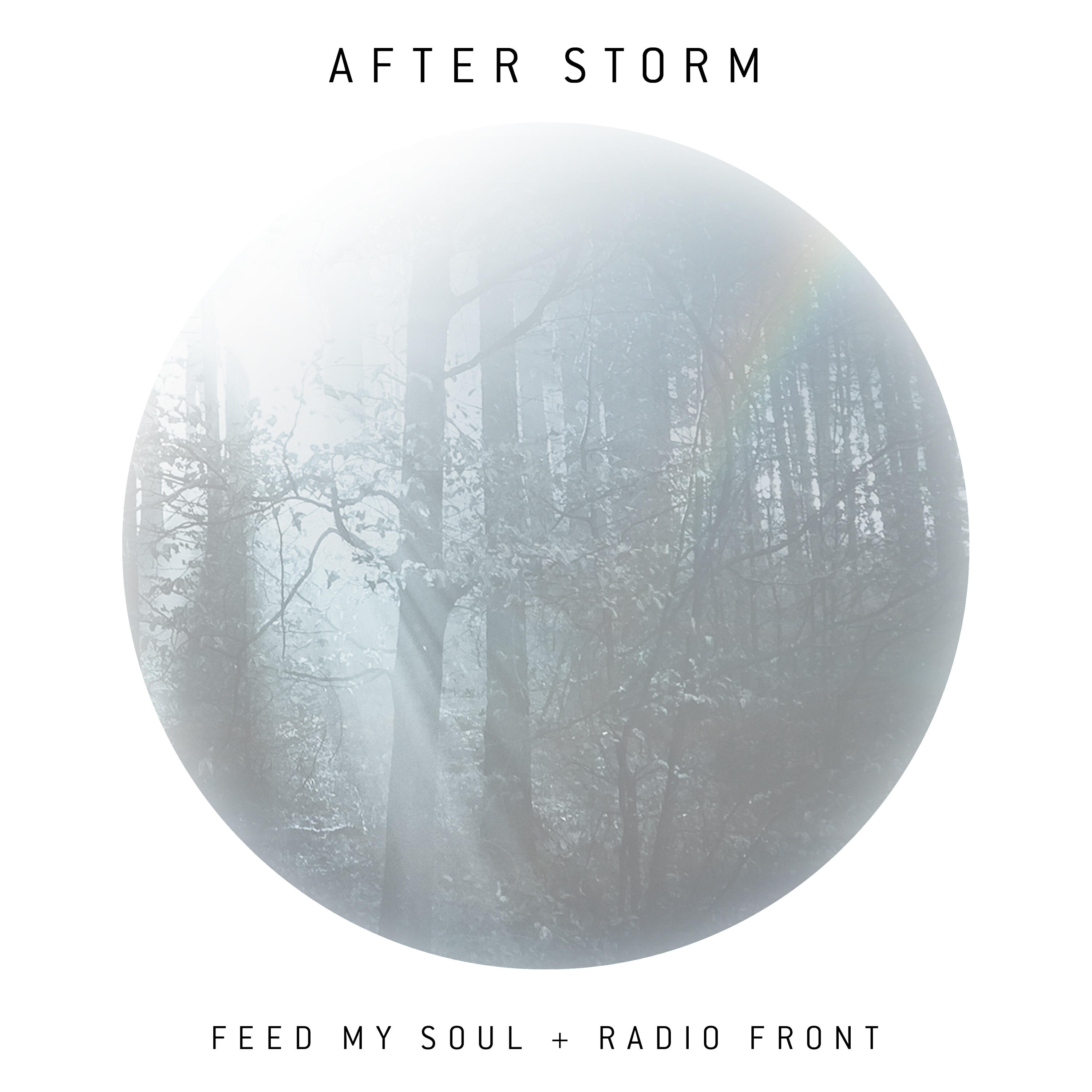 Релиз After Storm