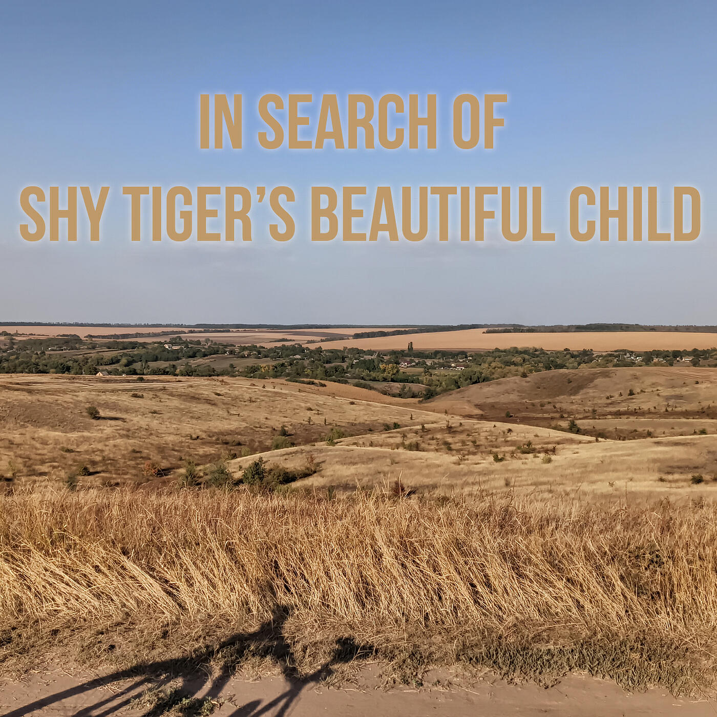 Релиз In Search of Shy Tiger's Beautiful Child