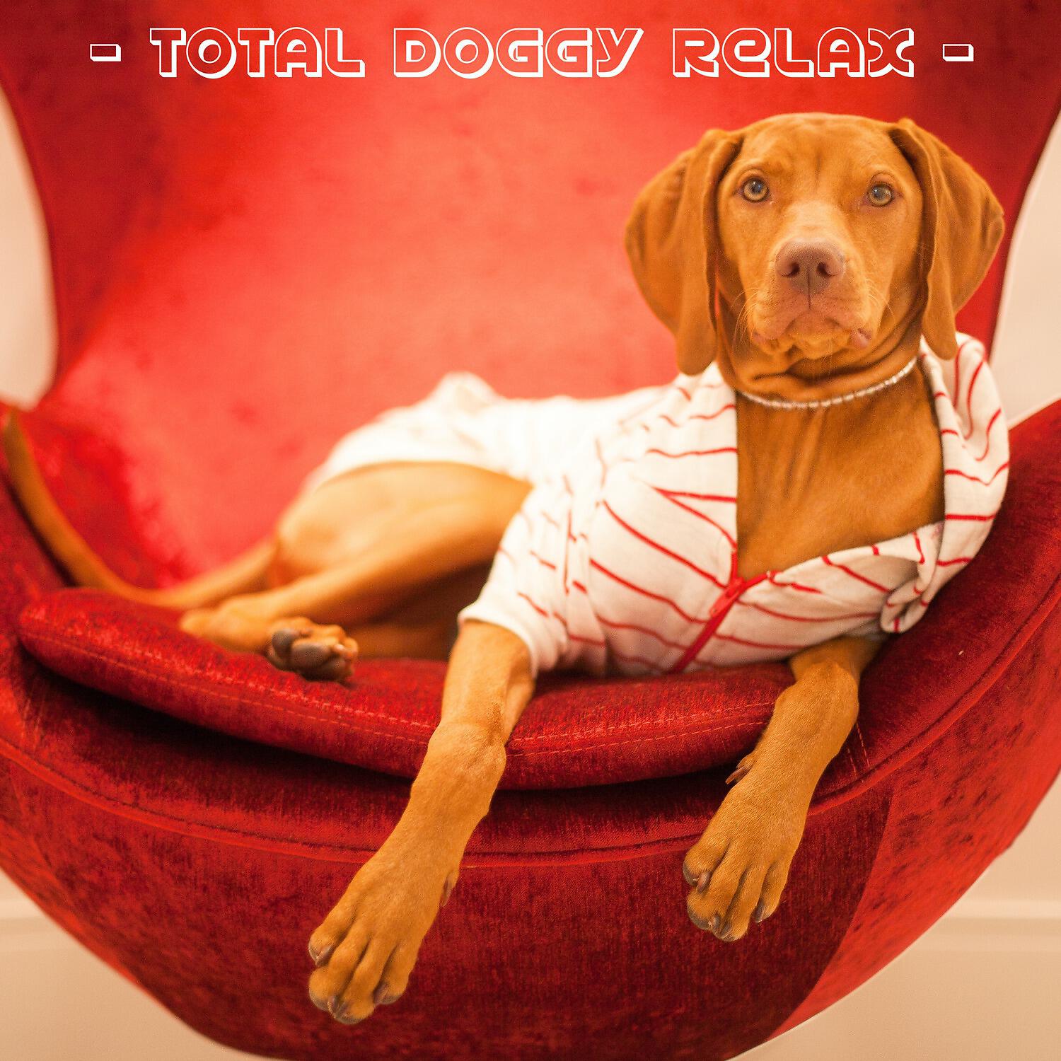 Релиз Total Doggy Relax