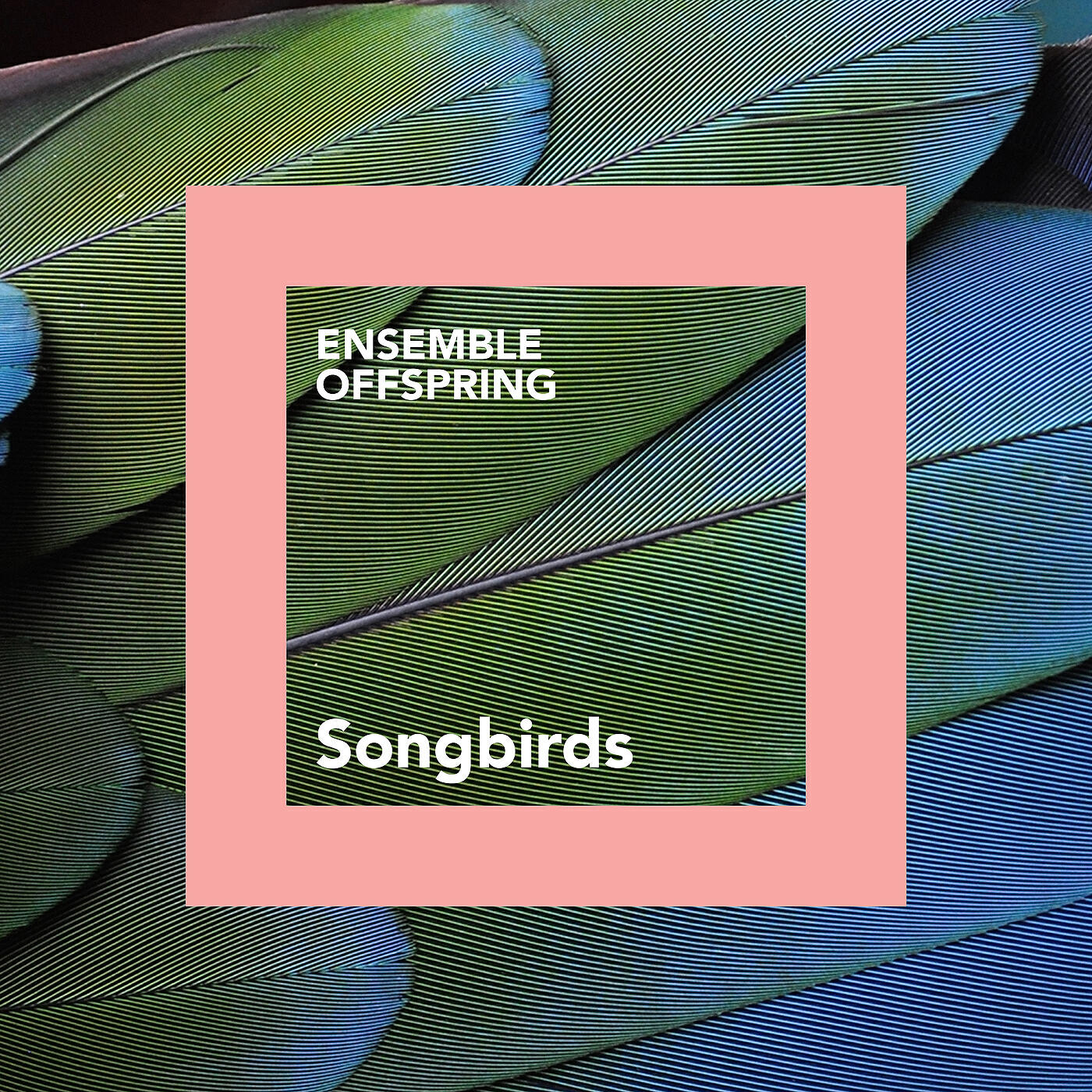 Релиз Songbirds
