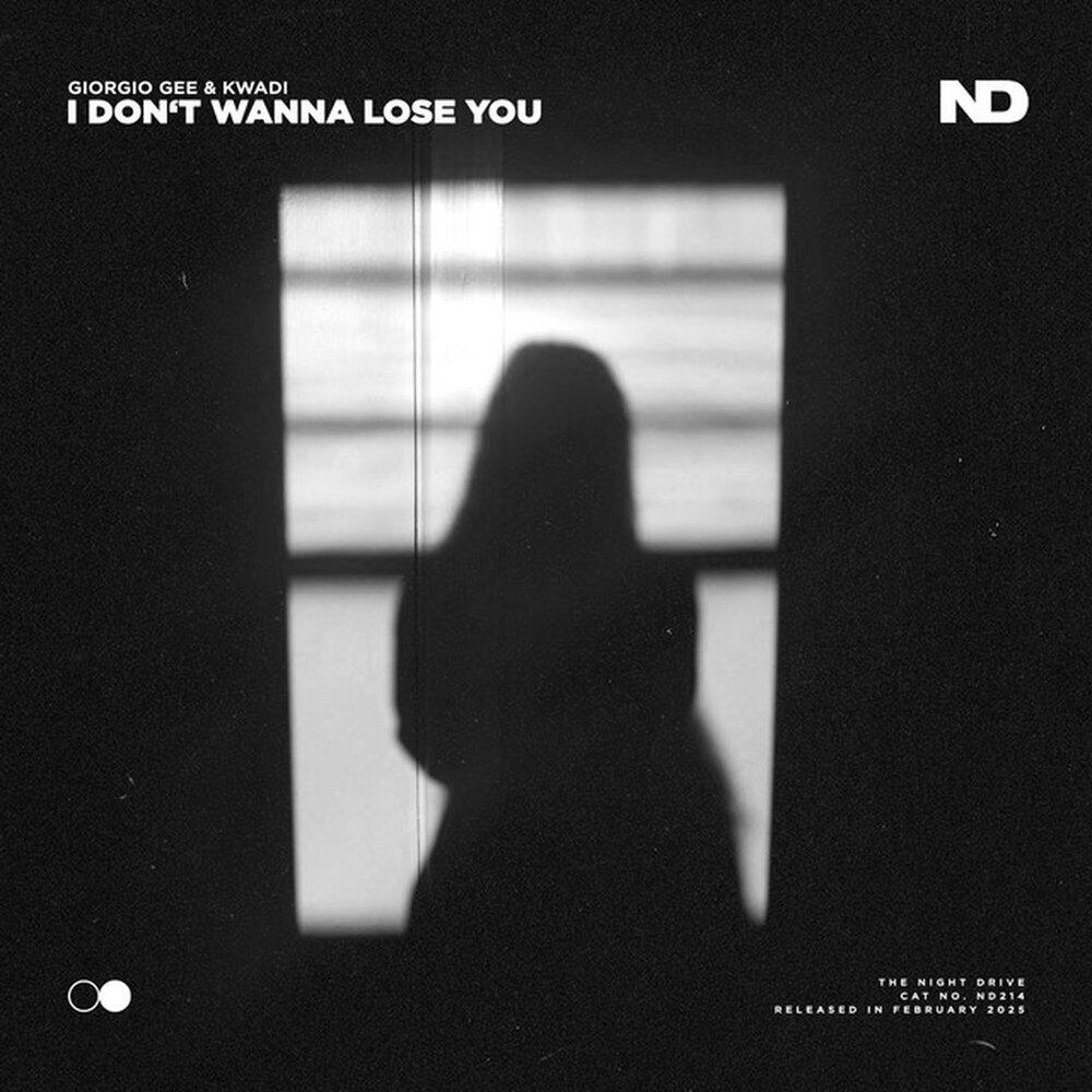 Релиз I Don't Wanna Lose You