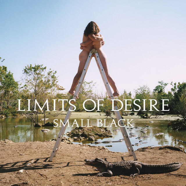 Релиз Limits of Desire