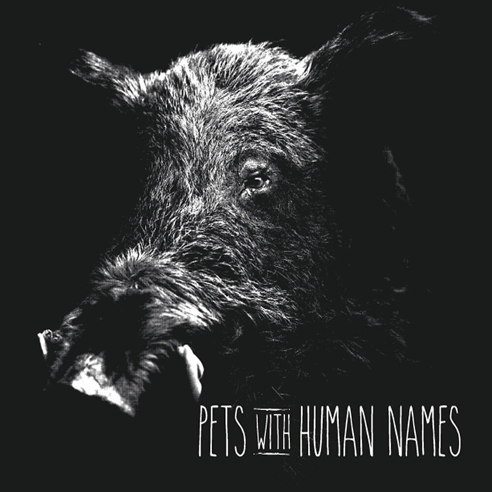 Постер альбома Pets With Human Names