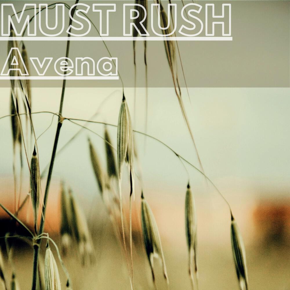 Релиз Avena