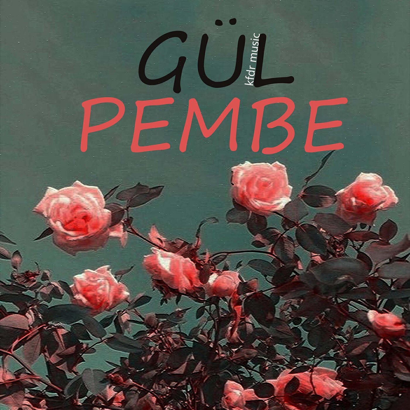 Релиз Gül Pembe